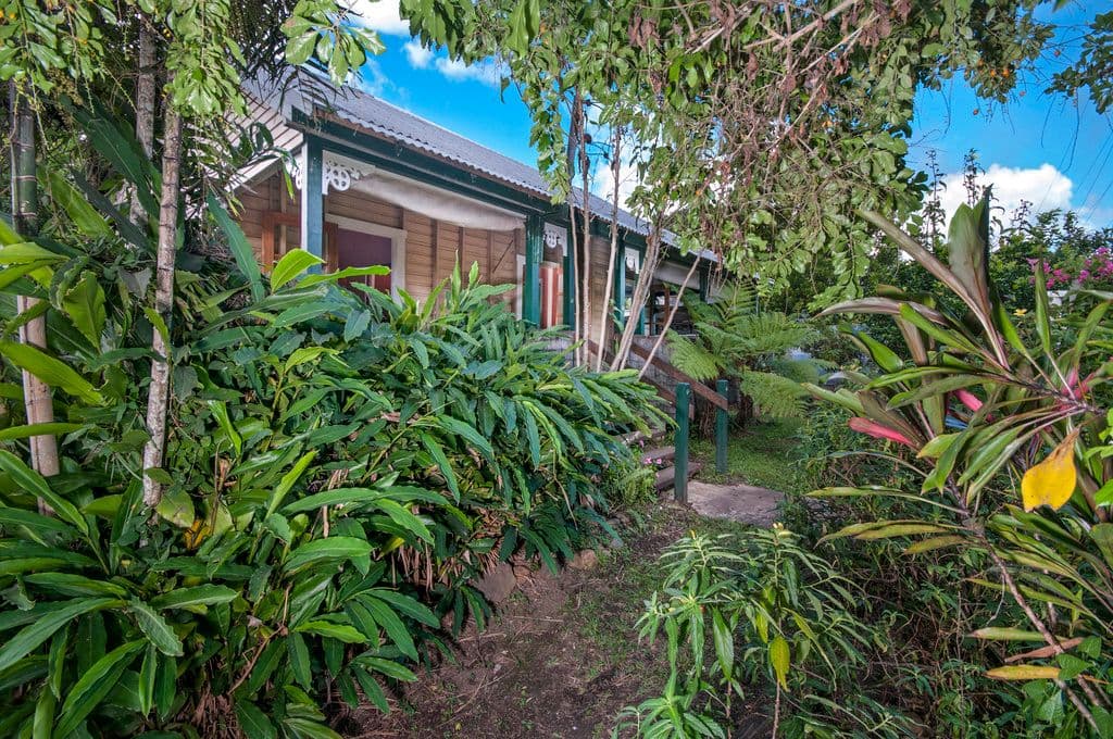 5 Campbell Street, Gordonvale QLD 4865, Gordonvale - Image 1