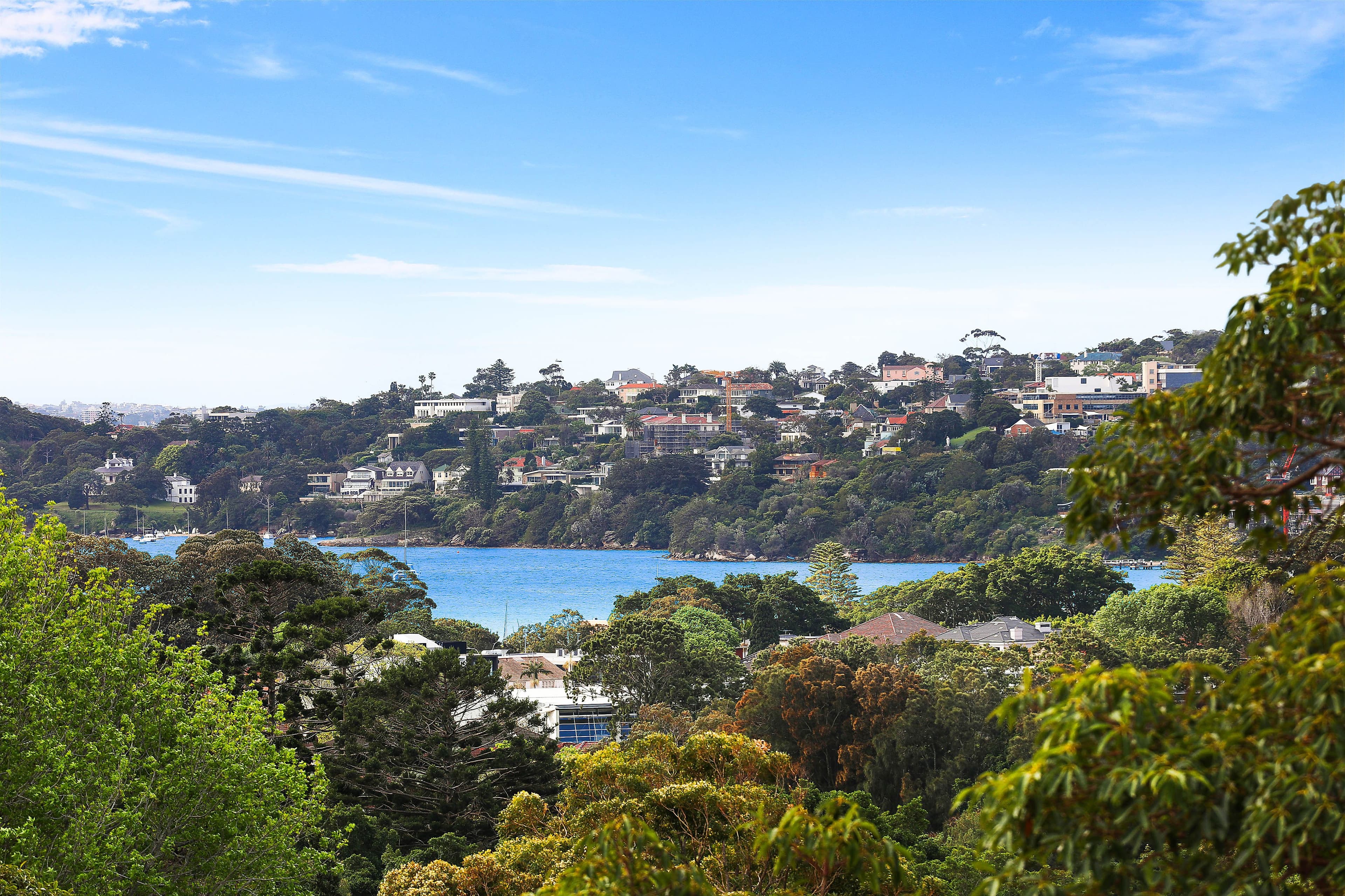 24 Bunyula Road, Bellevue Hill NSW 2023, Bellevue Hill - Thumbnail 5