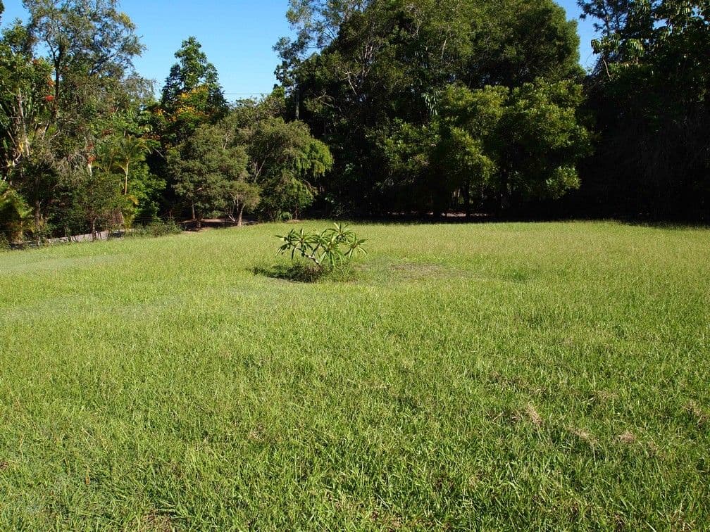 993 Eumundi Noosa Road, DOONAN QLD 4562, Doonan - Thumbnail 2