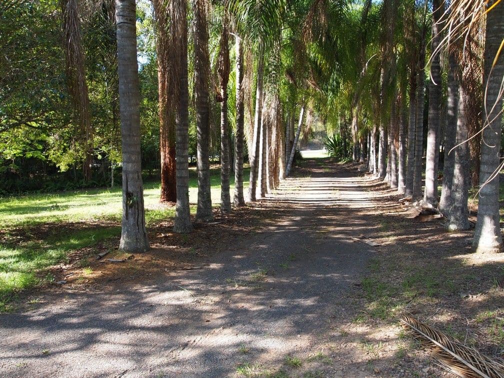993 Eumundi Noosa Road, DOONAN QLD 4562, Doonan - Thumbnail 5
