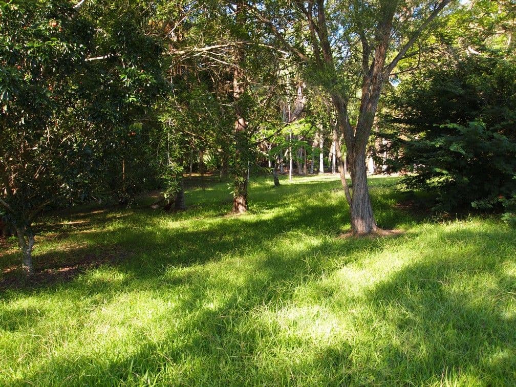 993 Eumundi Noosa Road, DOONAN QLD 4562, Doonan - Thumbnail 6