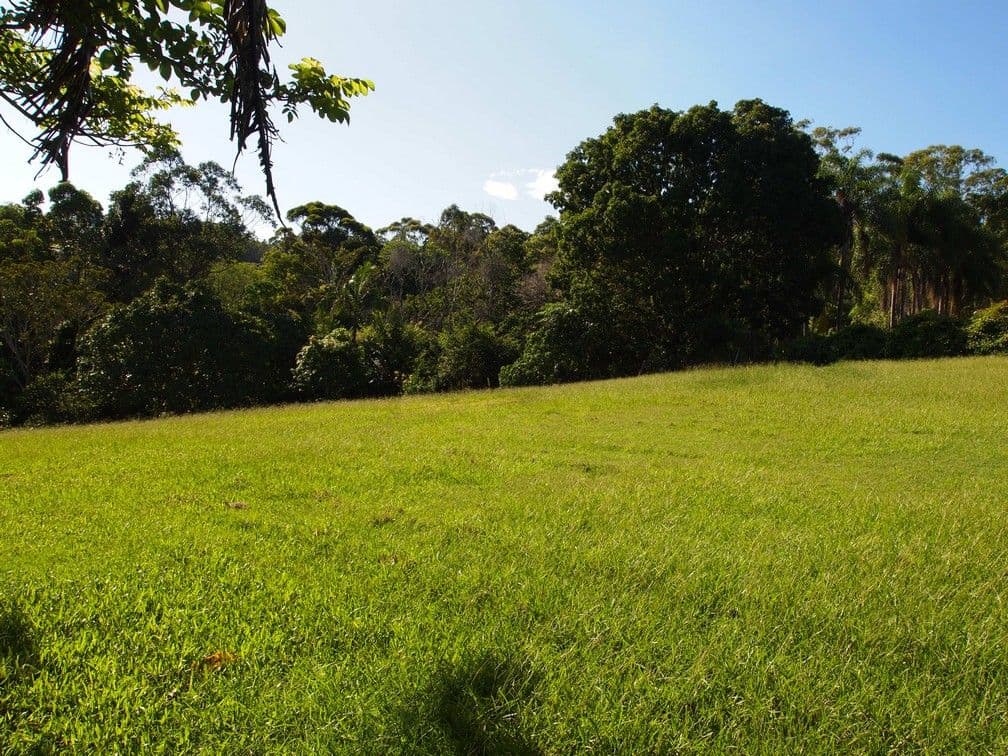 993 Eumundi Noosa Road, DOONAN QLD 4562, Doonan - Thumbnail 7