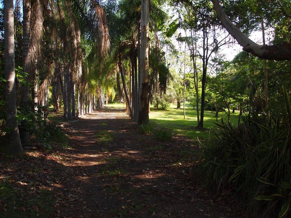 993 Eumundi Noosa Road, DOONAN QLD 4562, Doonan - Thumbnail 8
