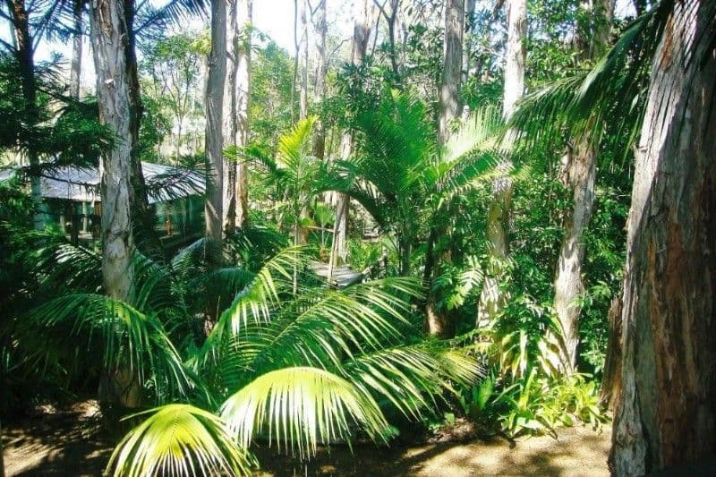282 Sylvan Drive, MOORE PARK BEACH QLD 4670, Moore Park Beach - Thumbnail 7