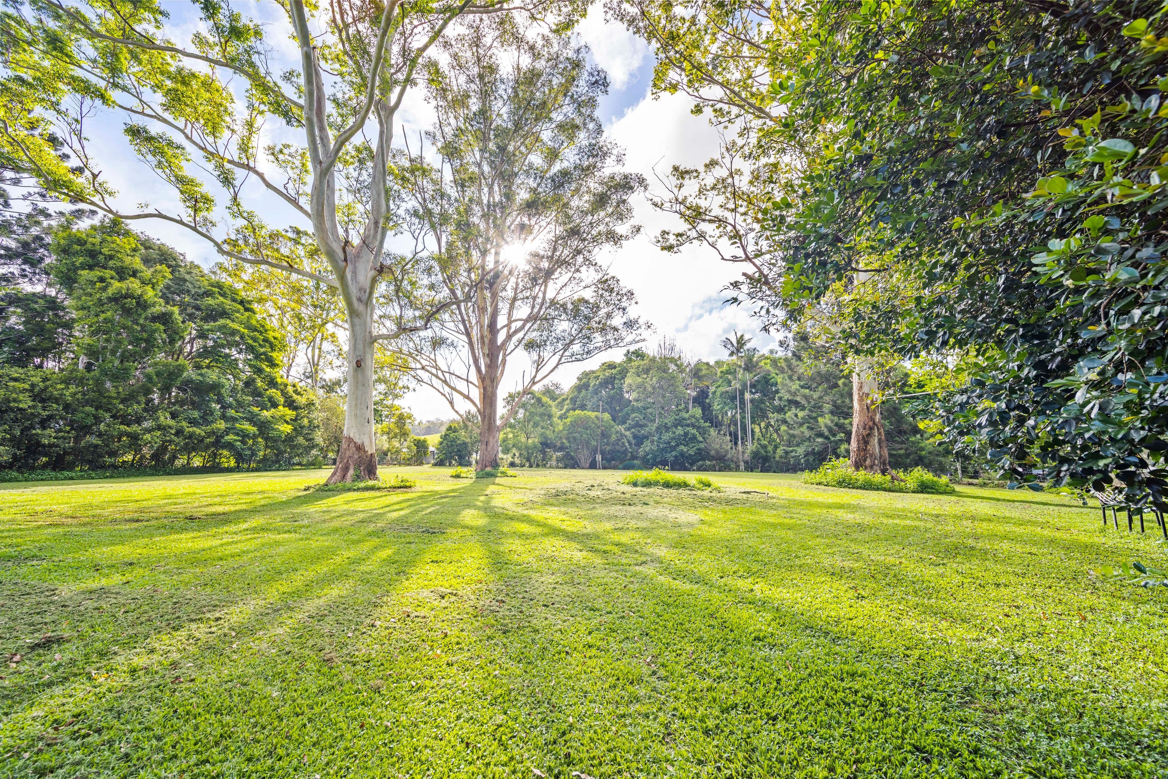 89 Berganns Road, Witta QLD 4552, Witta - Thumbnail 2