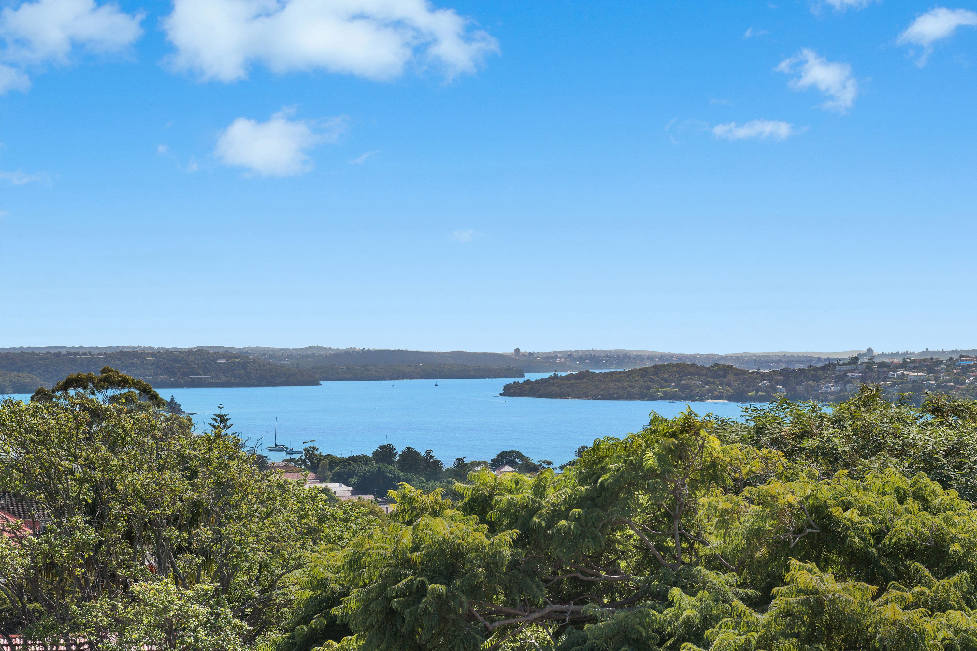 80 Bundarra Road, Bellevue Hill NSW 2023, Bellevue Hill - Thumbnail 2