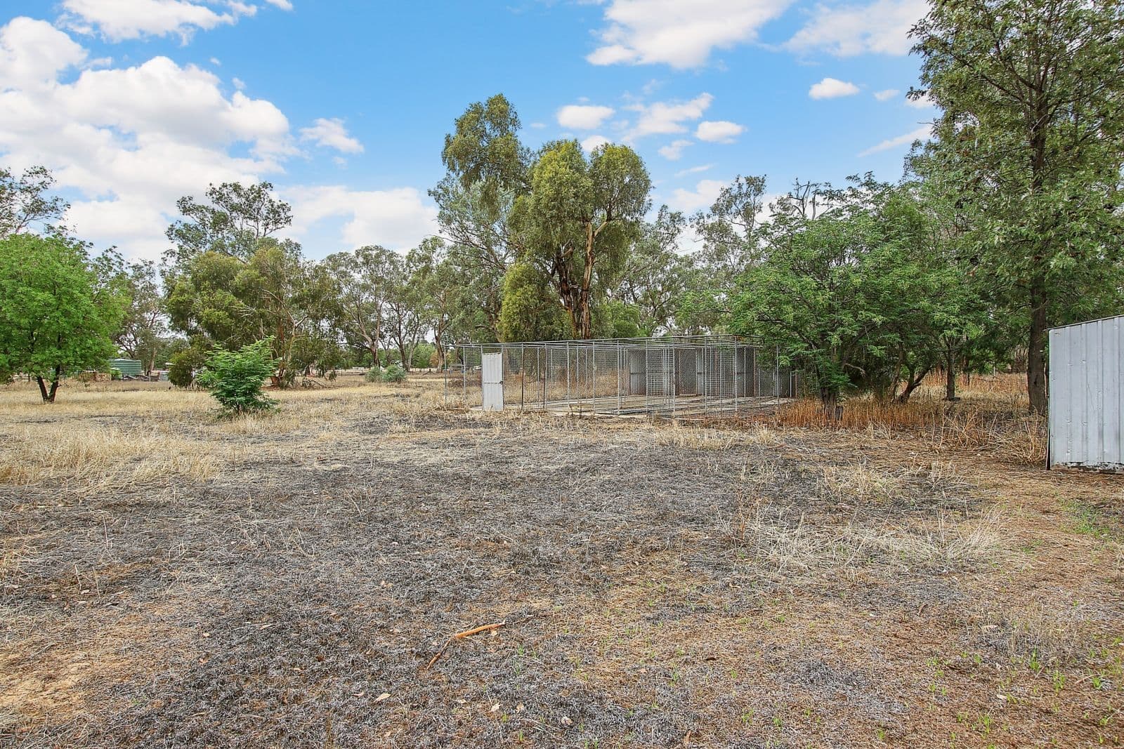 99 Balfour Street, Culcairn NSW 2660, Culcairn - Thumbnail 4