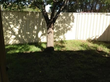 2 Wattle Avenue, NORTH ST MARYS NSW 2760, North St Marys - Thumbnail 6