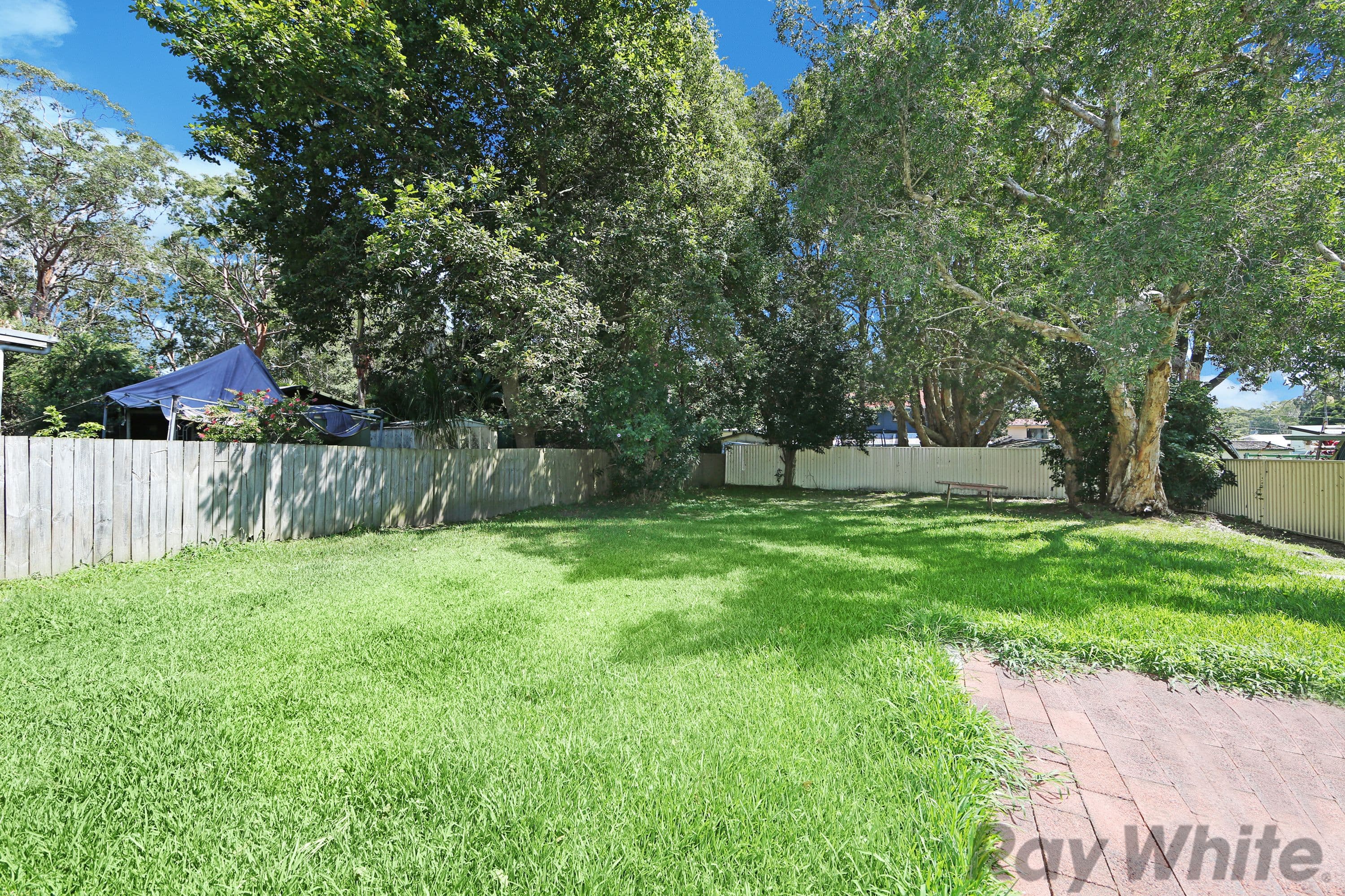 11 Norah Avenue, Charmhaven - Thumbnail 6