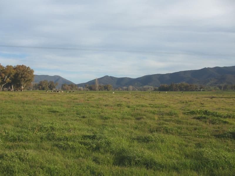Lot 1 Tumut Plains Road, Tumut NSW 2720, Tumut - Image 1