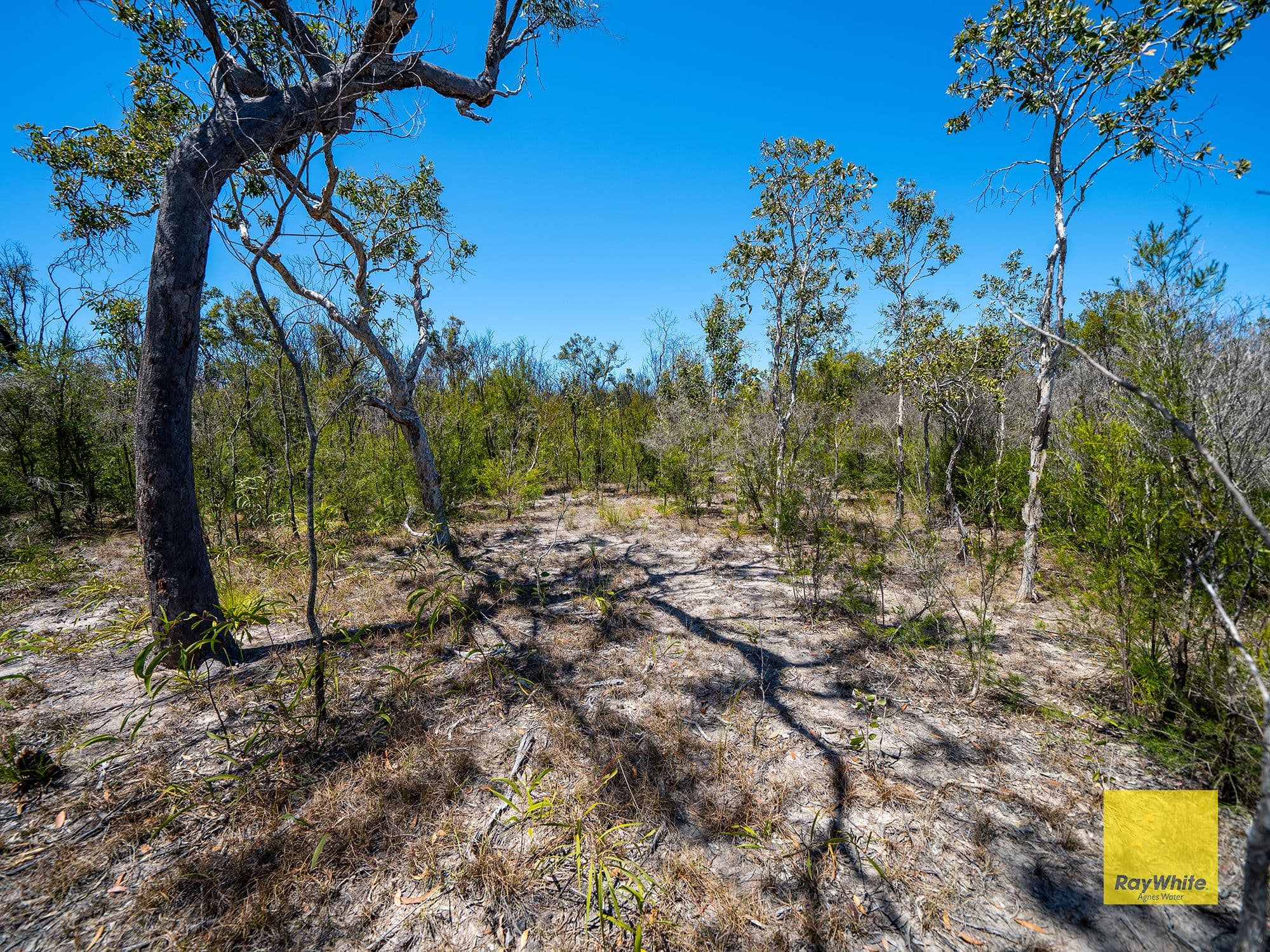 Lot 72 Matchbox Road, Deepwater QLD 4674, Deepwater - Thumbnail 7
