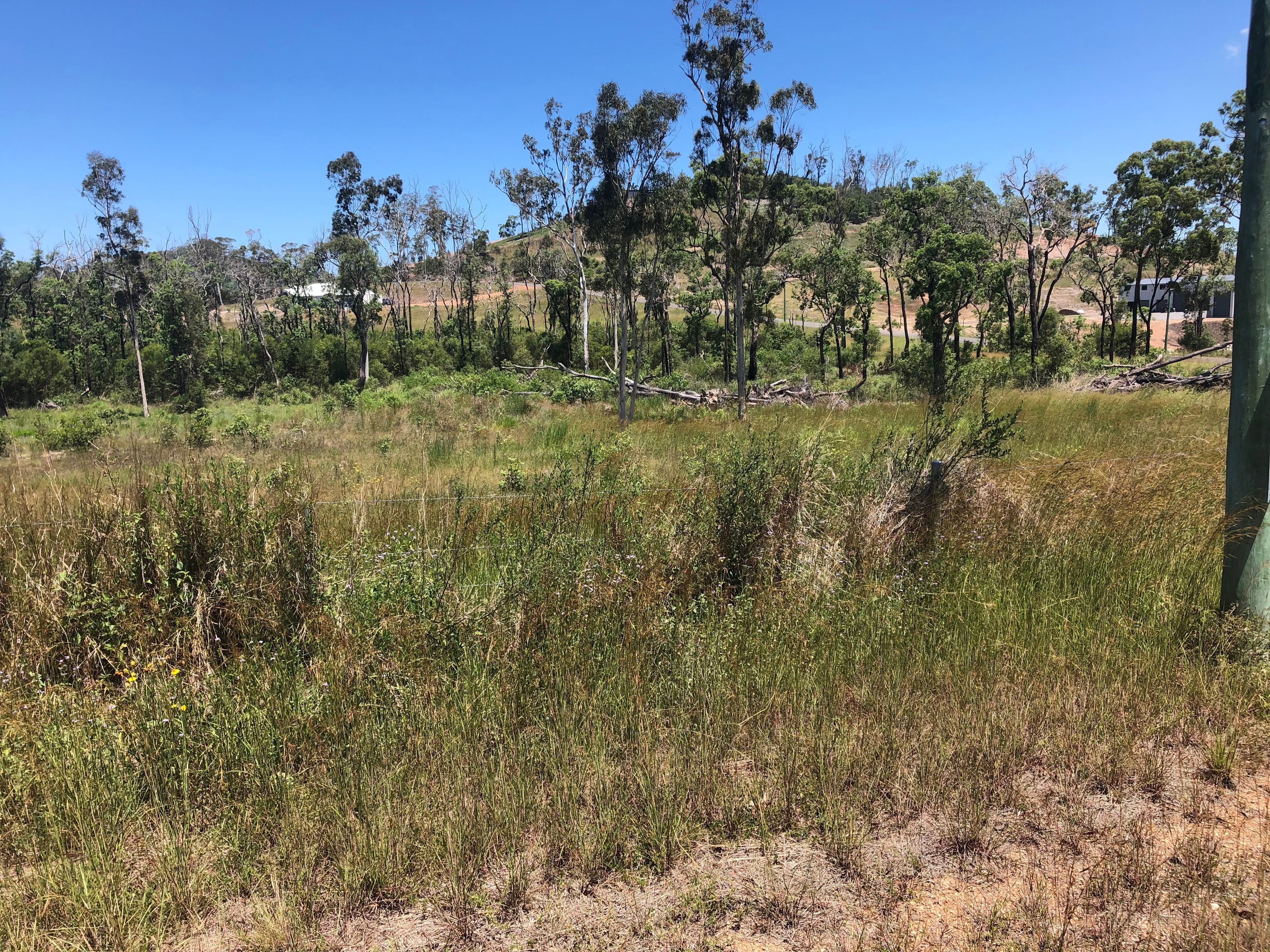 86 Woodbine Road, Bungundarra QLD 4703, Bungundarra - Thumbnail 5
