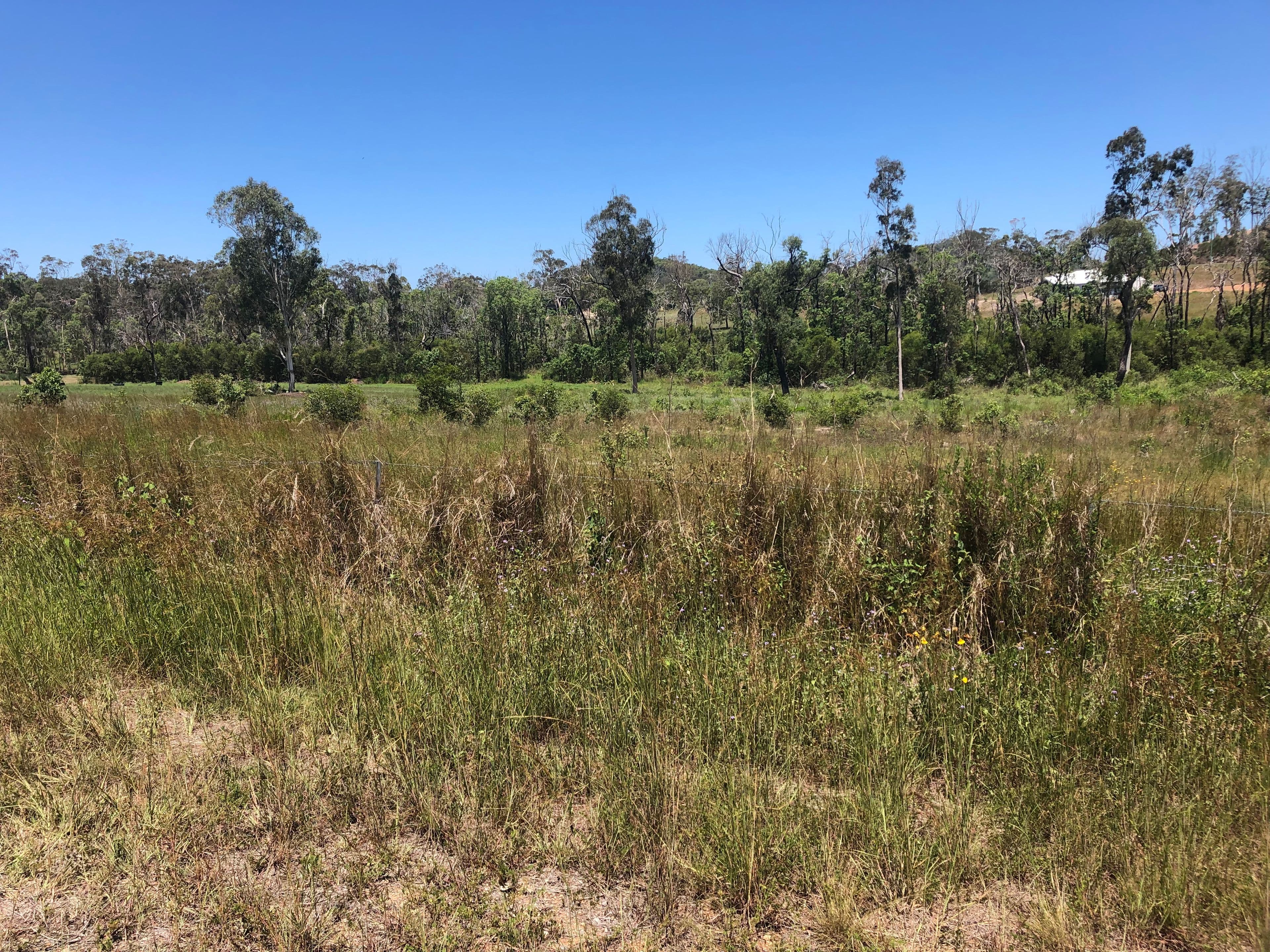 86 Woodbine Road, Bungundarra QLD 4703, Bungundarra - Thumbnail 6