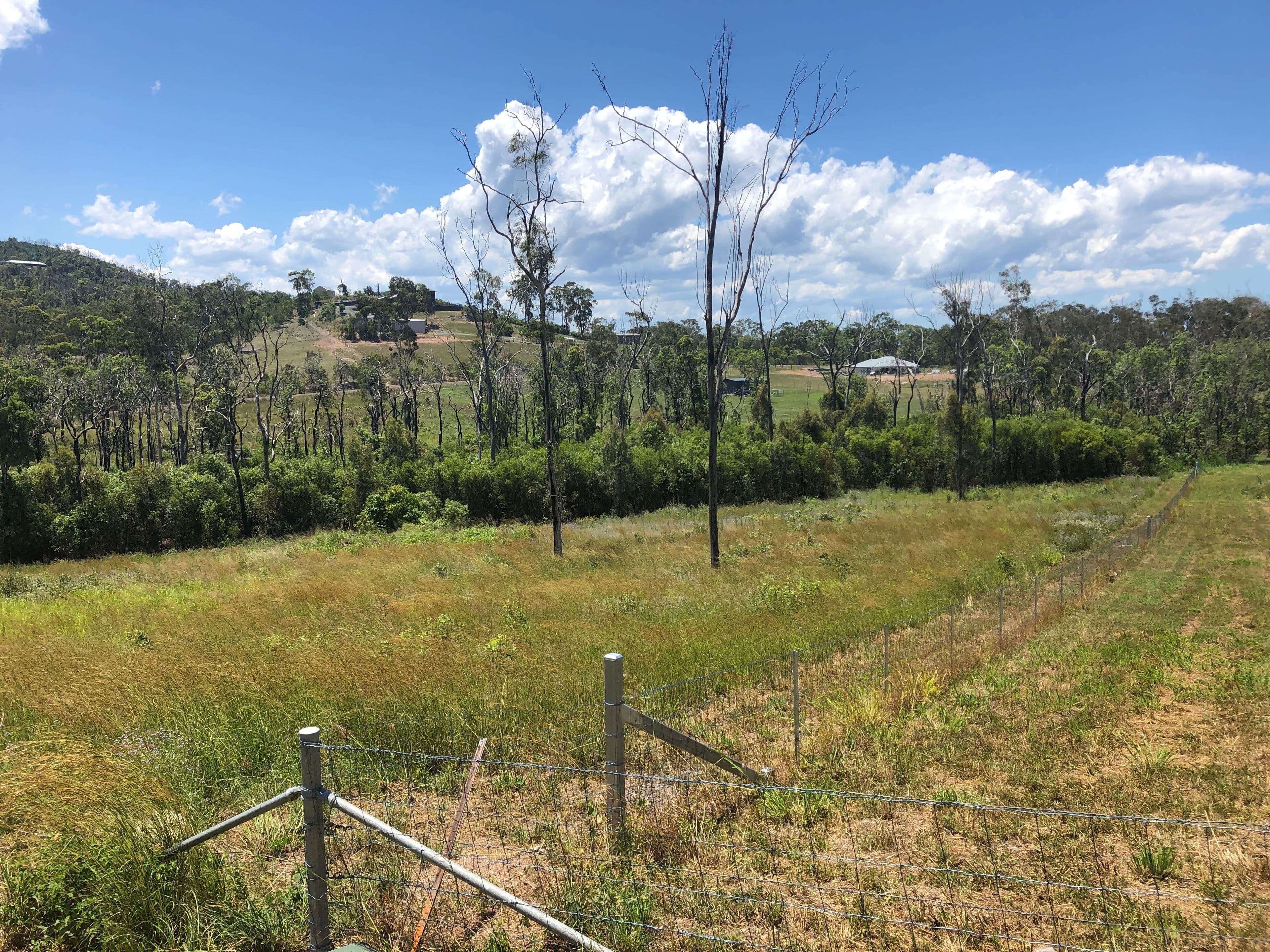 86 Woodbine Road, Bungundarra QLD 4703, Bungundarra - Thumbnail 7