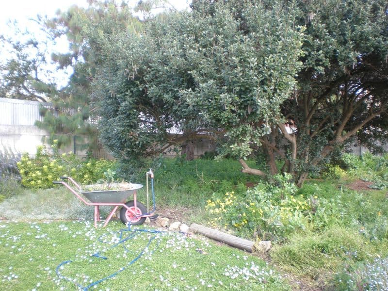3 Bridges Street, MOUNT GAMBIER SA 5290, Mount Gambier - Thumbnail 5