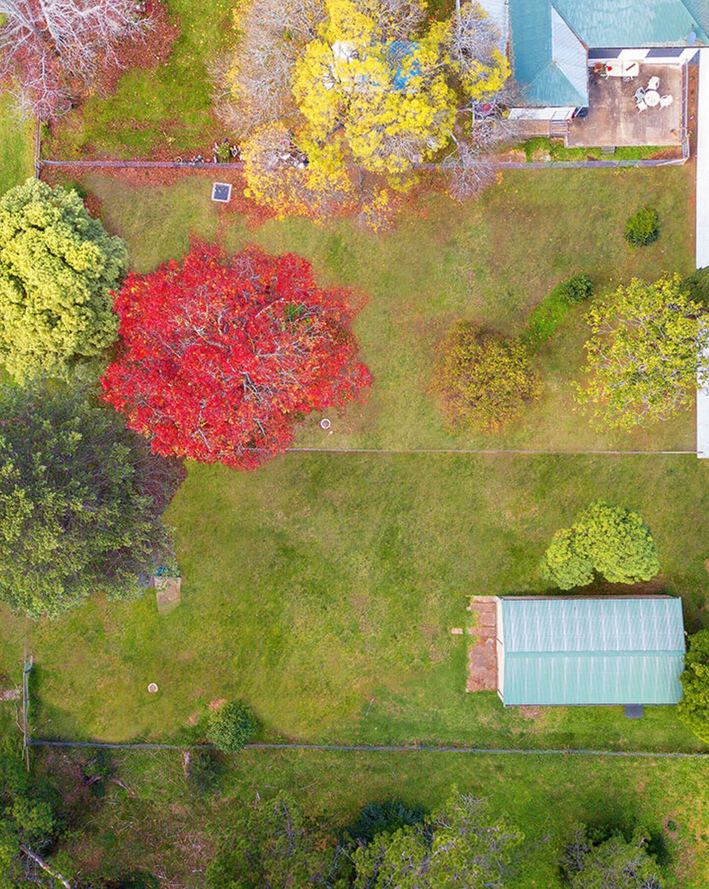 42 Hill Street Bundanoon, Bundanoon - Thumbnail 3