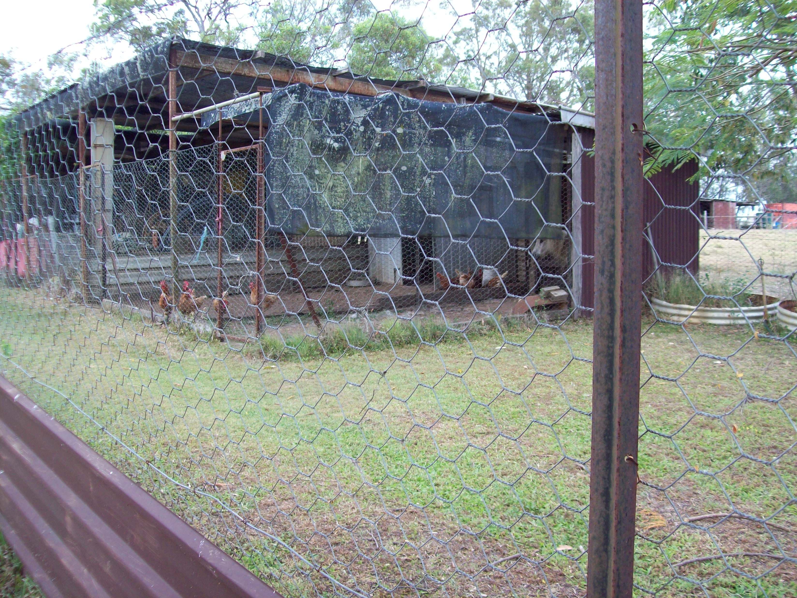 146 Staiers Road, Pilerwa QLD 4650, Pilerwa - Thumbnail 6