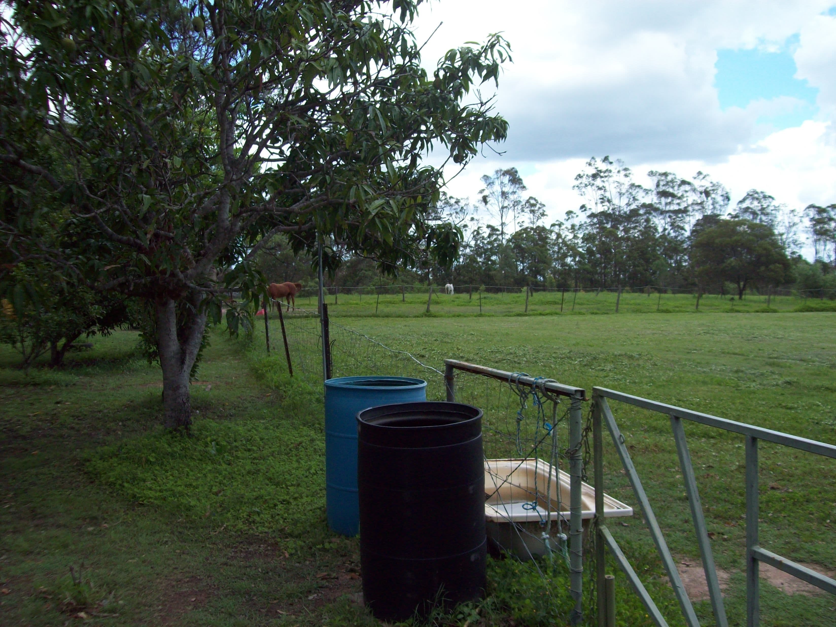 146 Staiers Road, Pilerwa QLD 4650, Pilerwa - Thumbnail 8