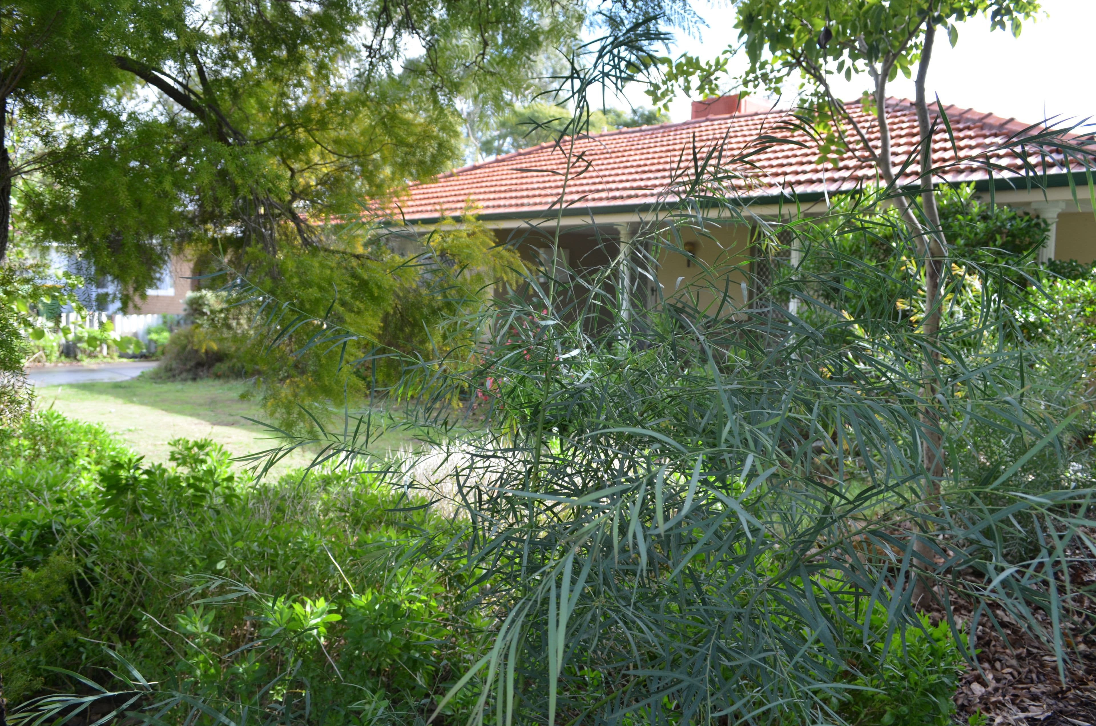 128 Blanche Street, Gosnells WA 6110, Gosnells - Thumbnail 2