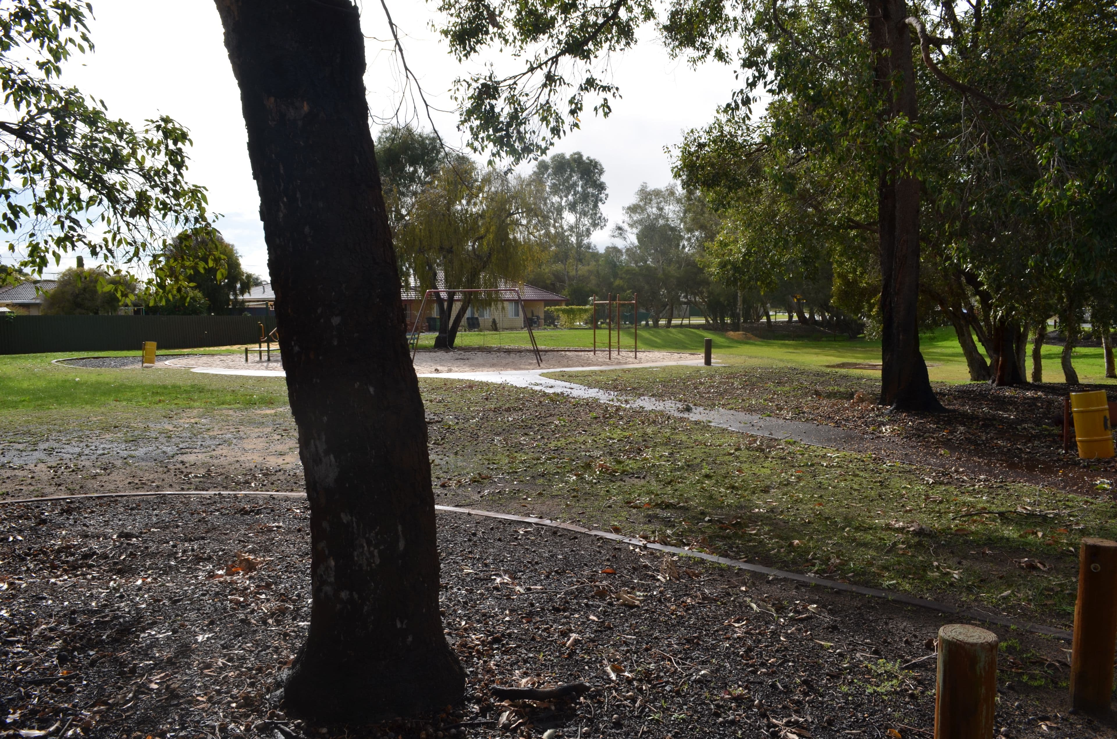 128 Blanche Street, Gosnells WA 6110, Gosnells - Thumbnail 3