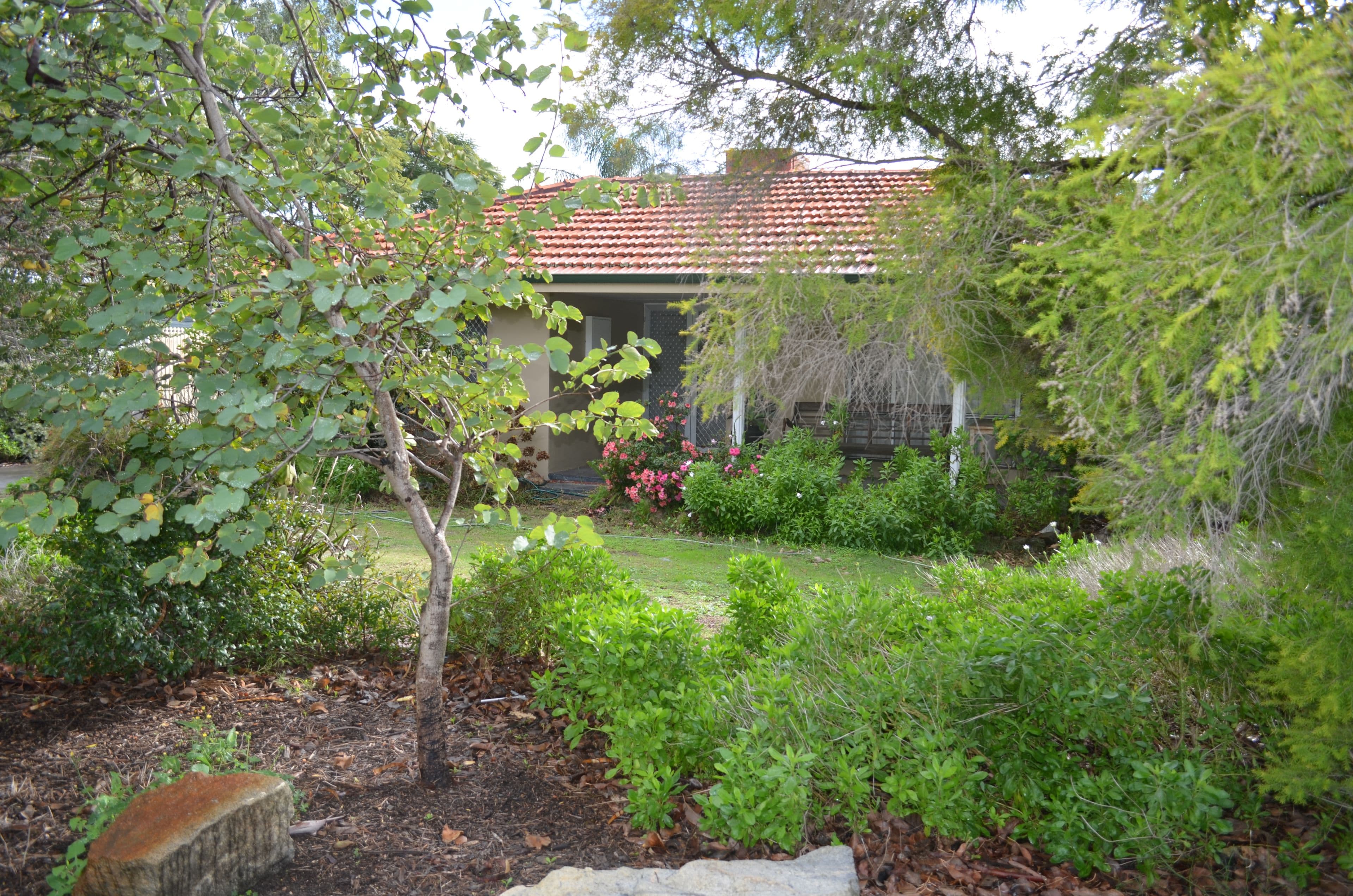 128 Blanche Street, Gosnells WA 6110, Gosnells - Thumbnail 4