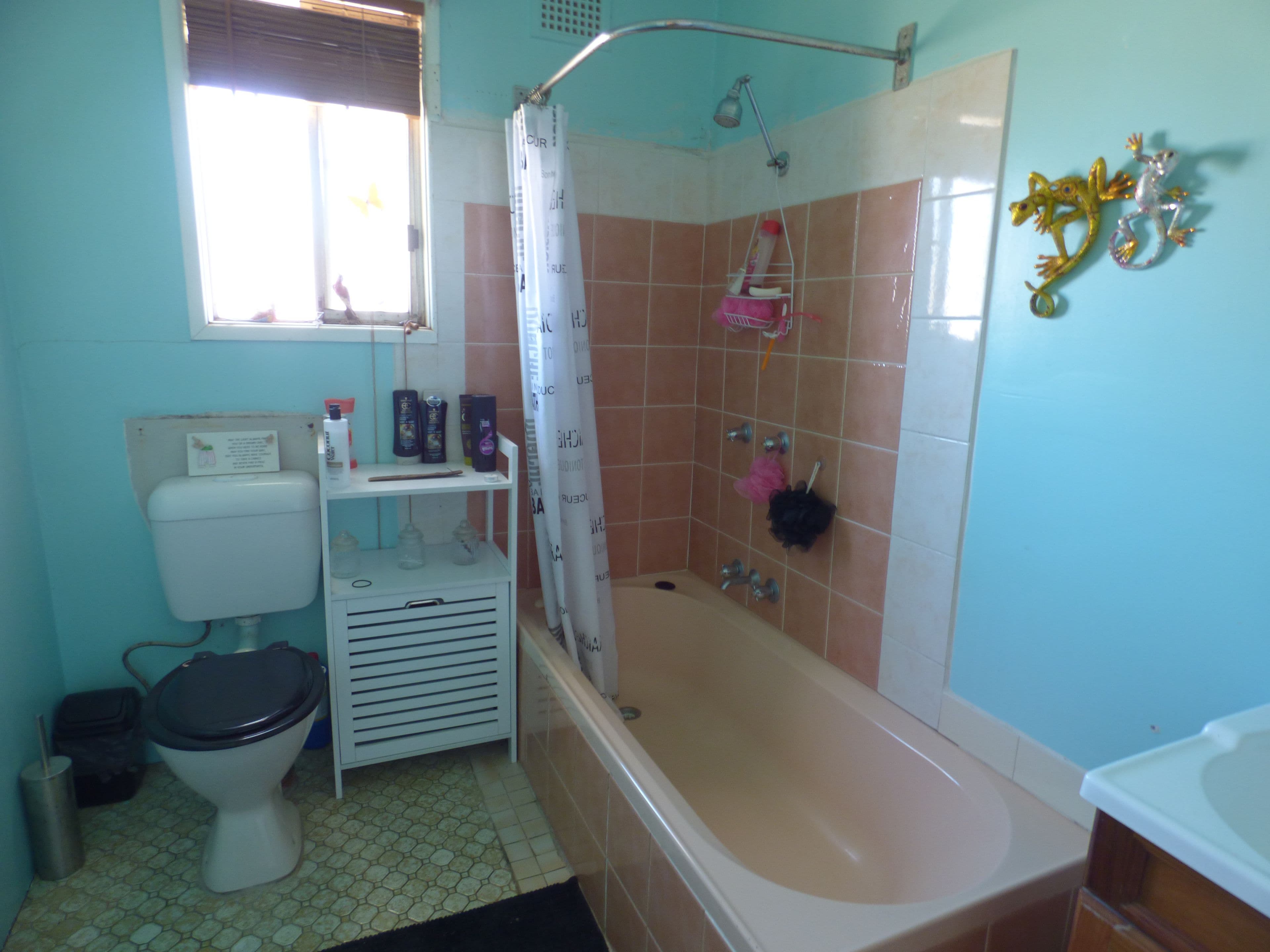 12 Palmer Crescent, Forbes - Thumbnail 8