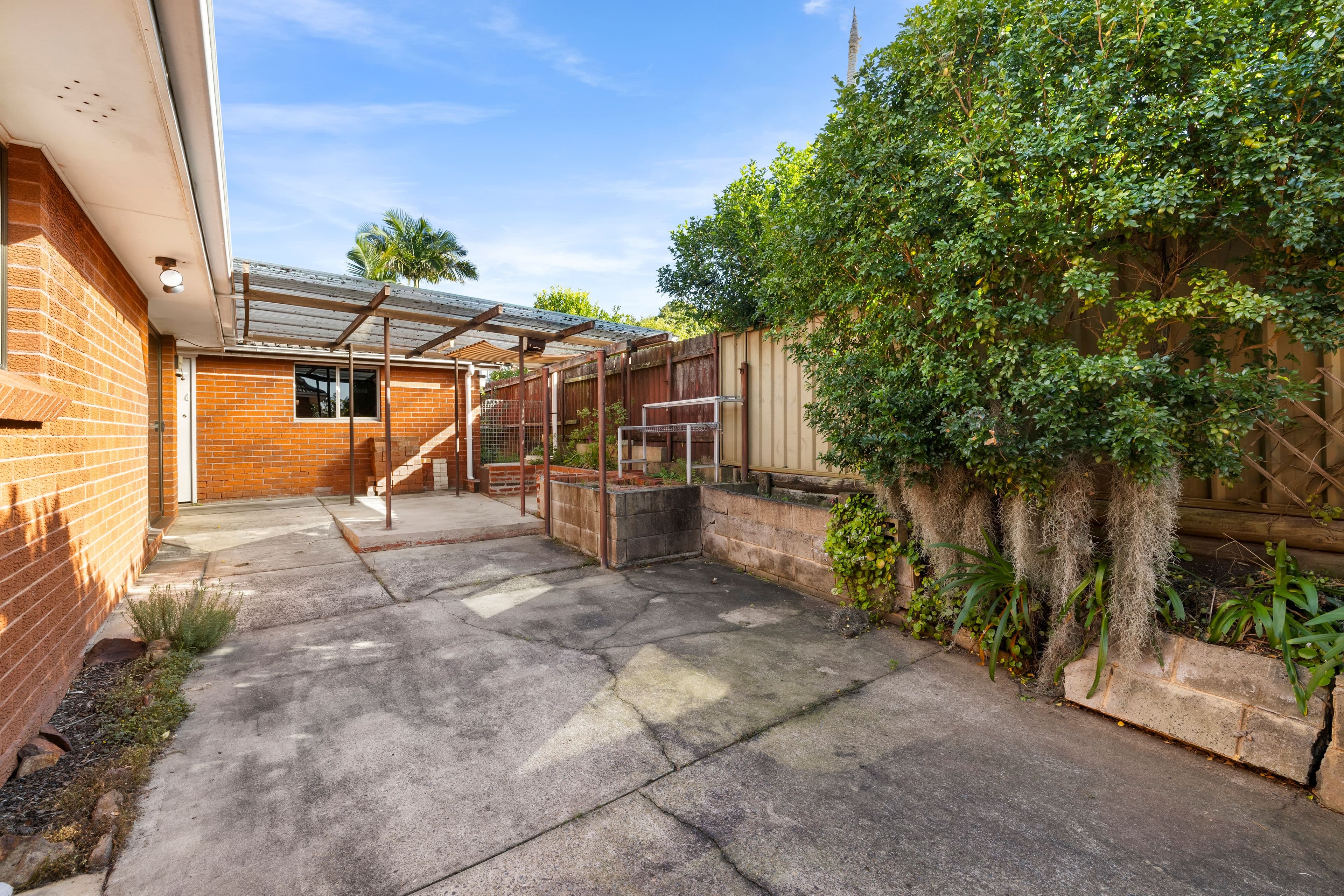 7 Levy Street, Putney NSW 2112, Putney - Thumbnail 8