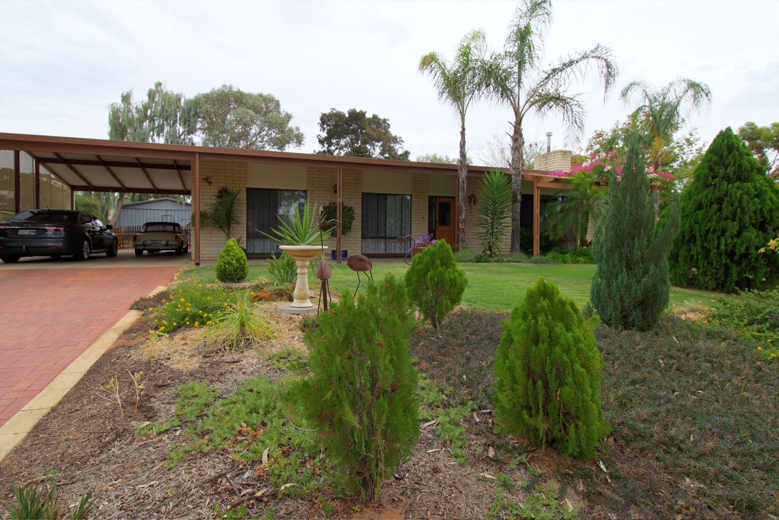 19 Dennis Street, Berri SA 5343, Berri - Image 1