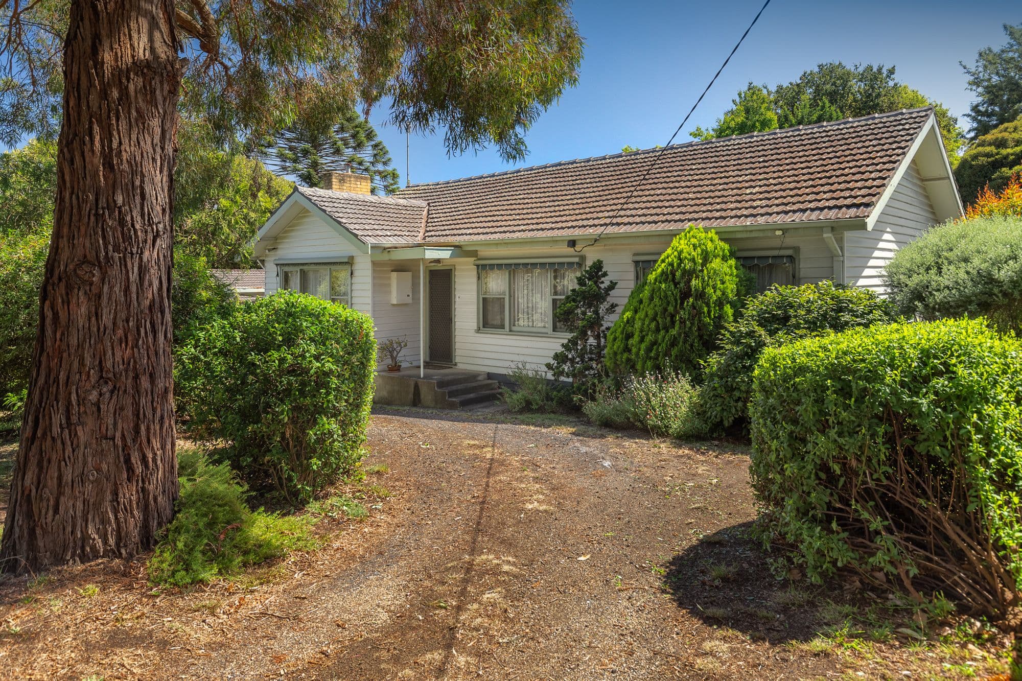 33 Peel Street, Berwick VIC 3806, Berwick - Thumbnail 6