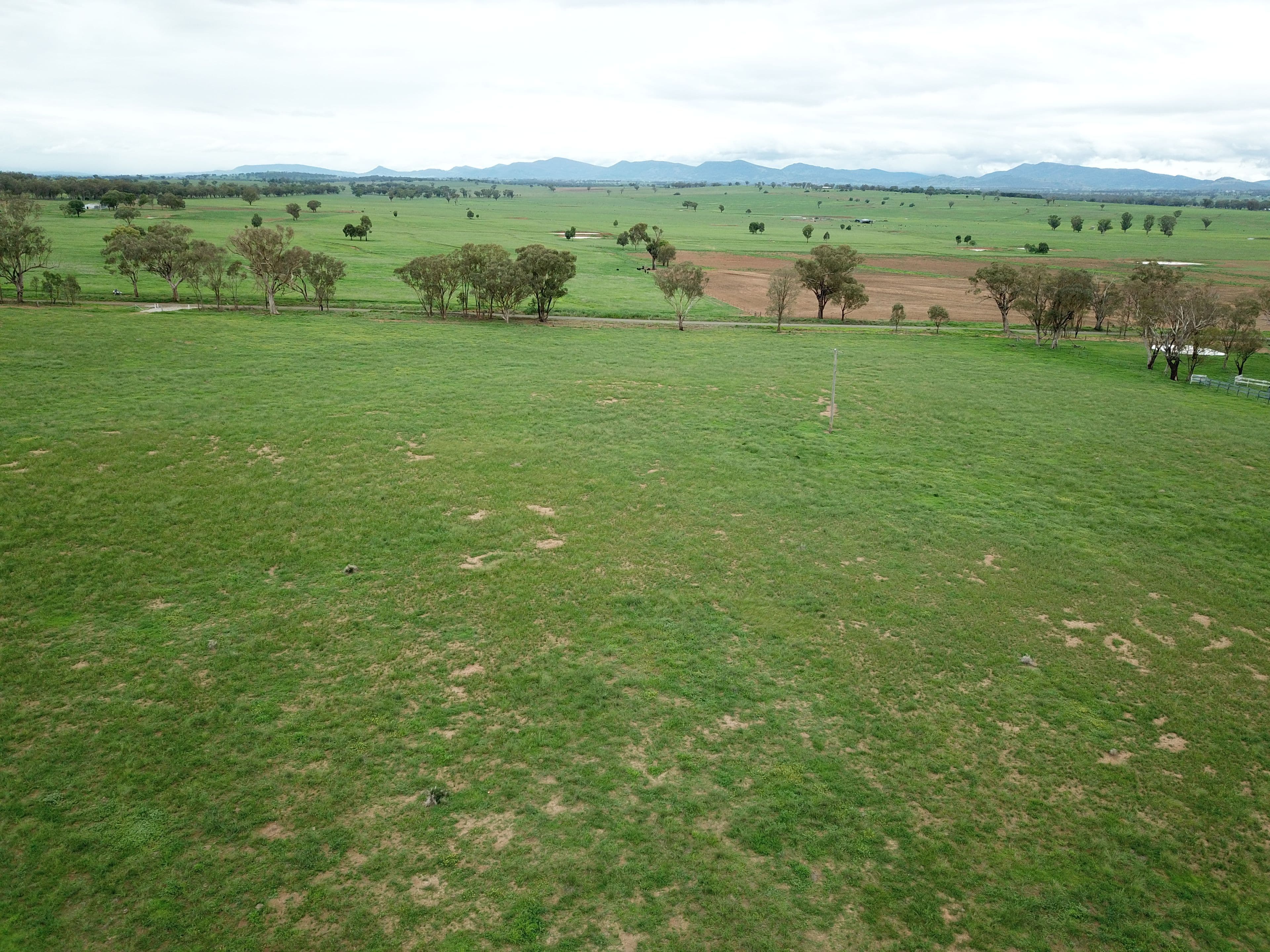 Lot 4232 Meadows Lane, Tamworth NSW 2340, Tamworth - Thumbnail 5