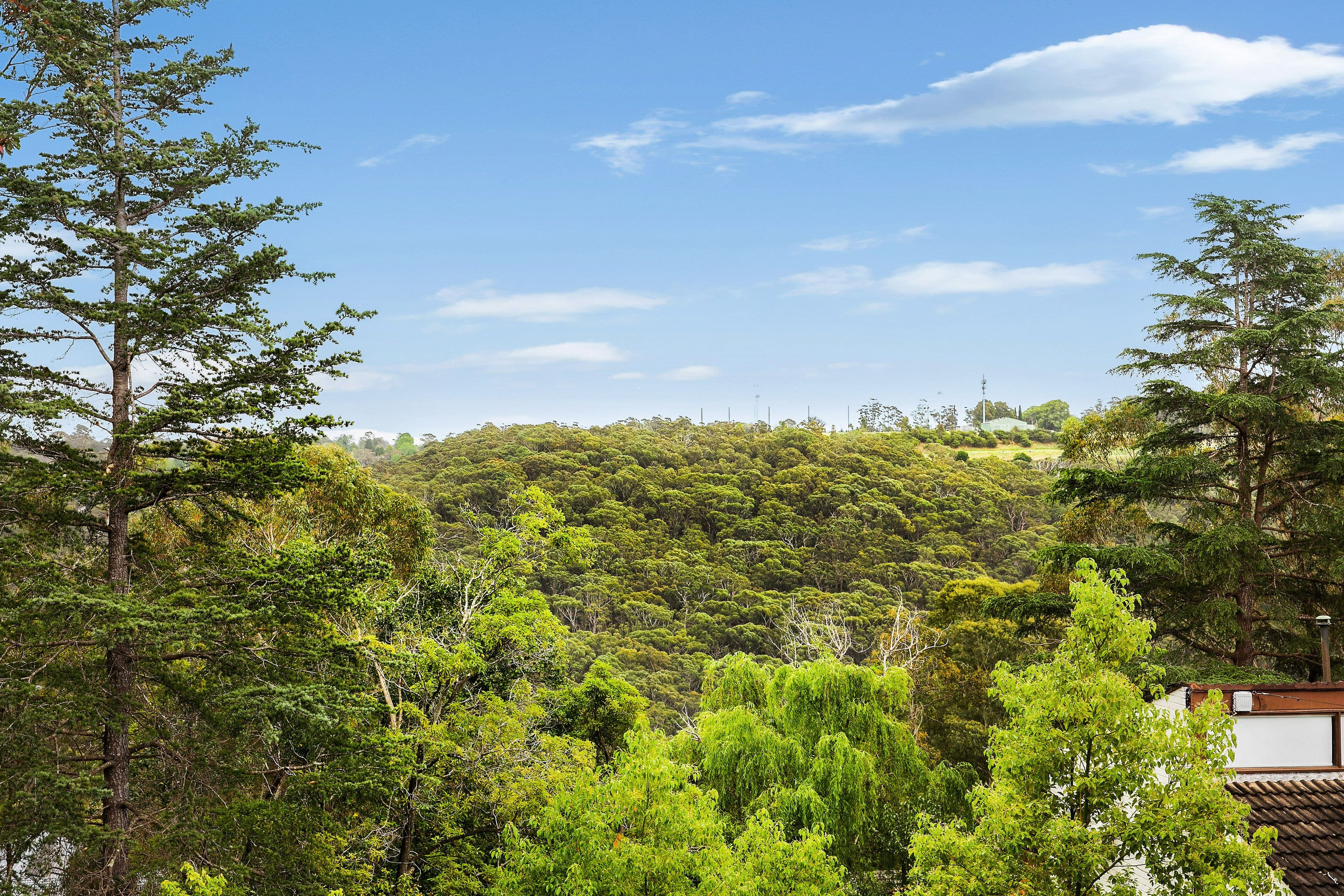 14 Robina Street, St Ives NSW 2075, St Ives - Thumbnail 7