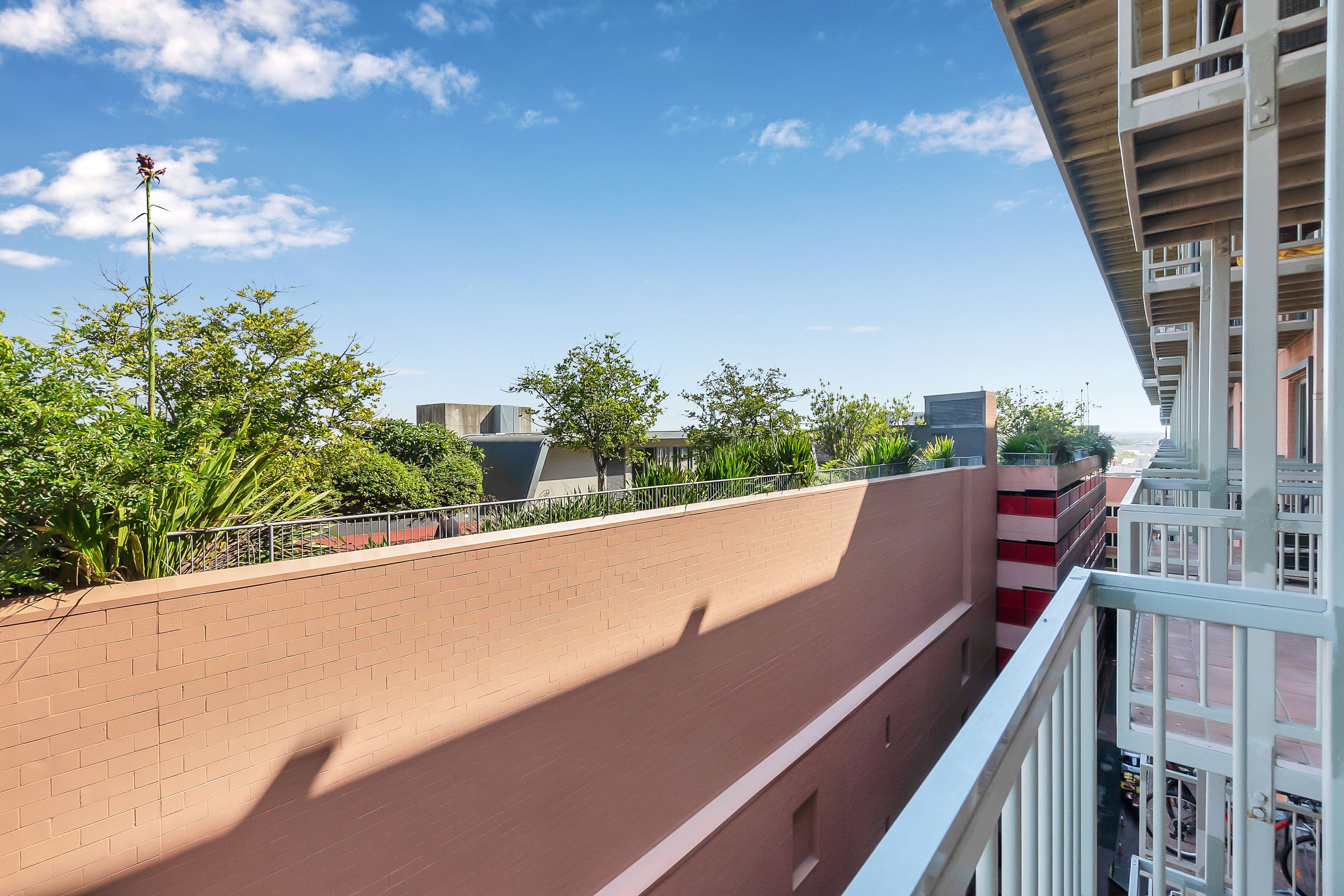 243 Pyrmont Street, Pyrmont NSW 2009, Pyrmont - Thumbnail 6