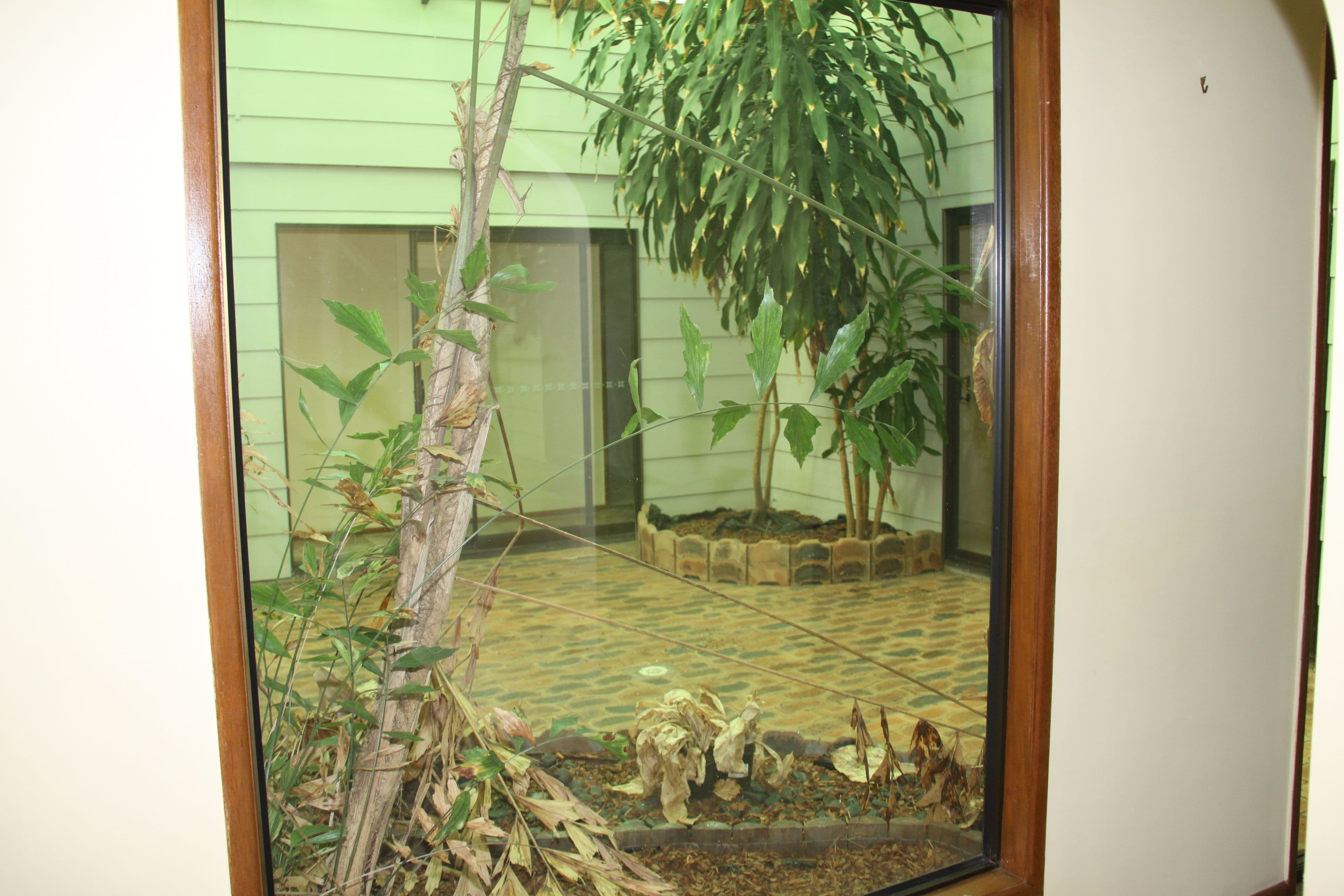 11 Worthington Road, Turkey Beach QLD 4678, Turkey Beach - Thumbnail 6