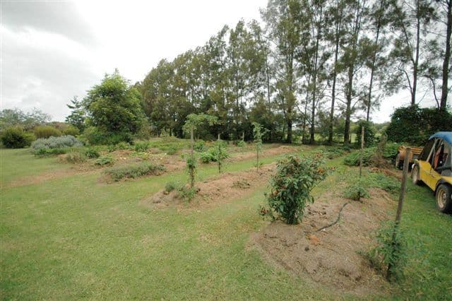 95  Crown Street, GRAFTON NSW 2460, Grafton - Thumbnail 6