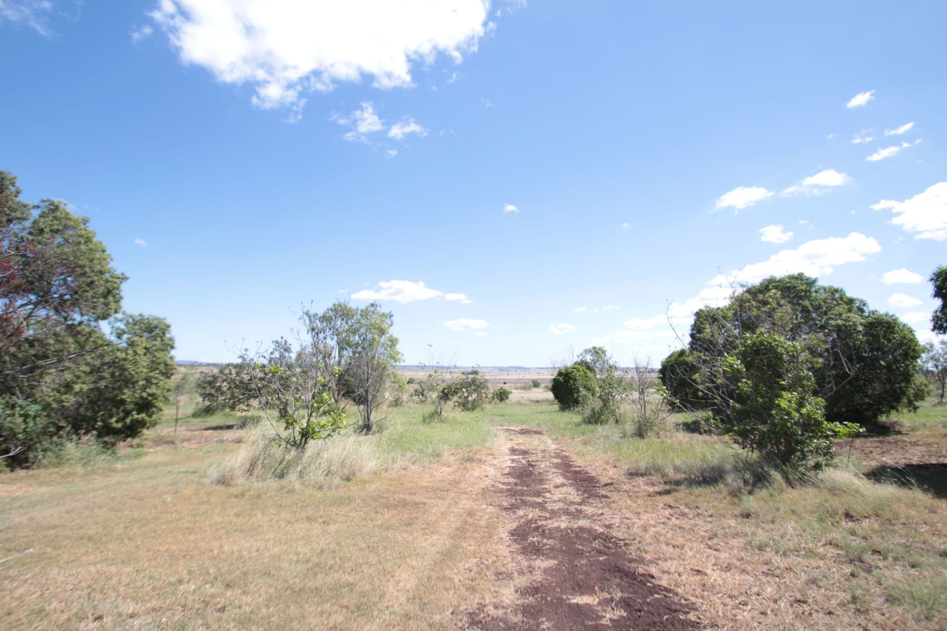 31 Goombungee Road, Kingsthorpe QLD 4400, Kingsthorpe - Thumbnail 5