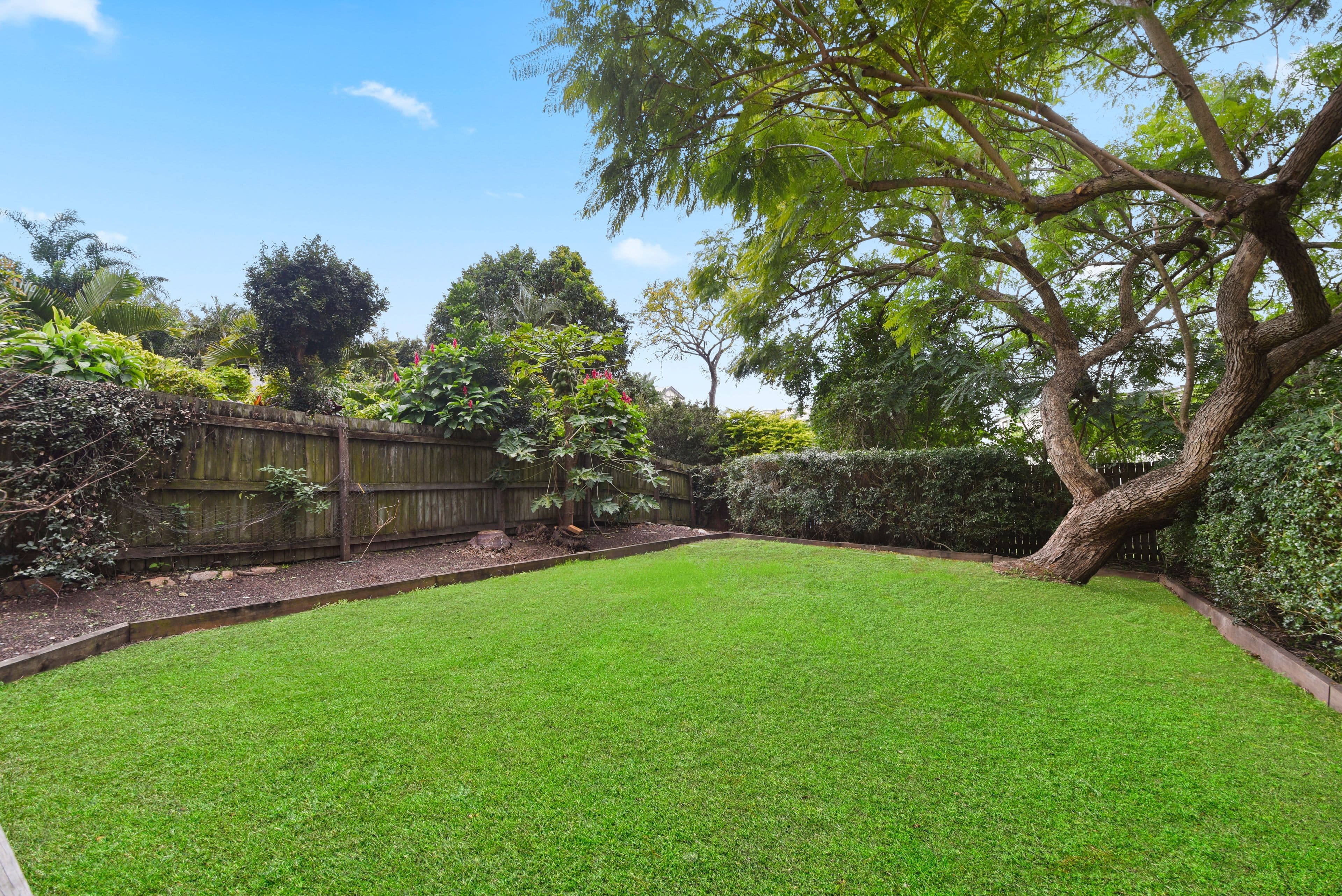 113 Gracemere Street, Grange QLD 4051, Grange - Thumbnail 3