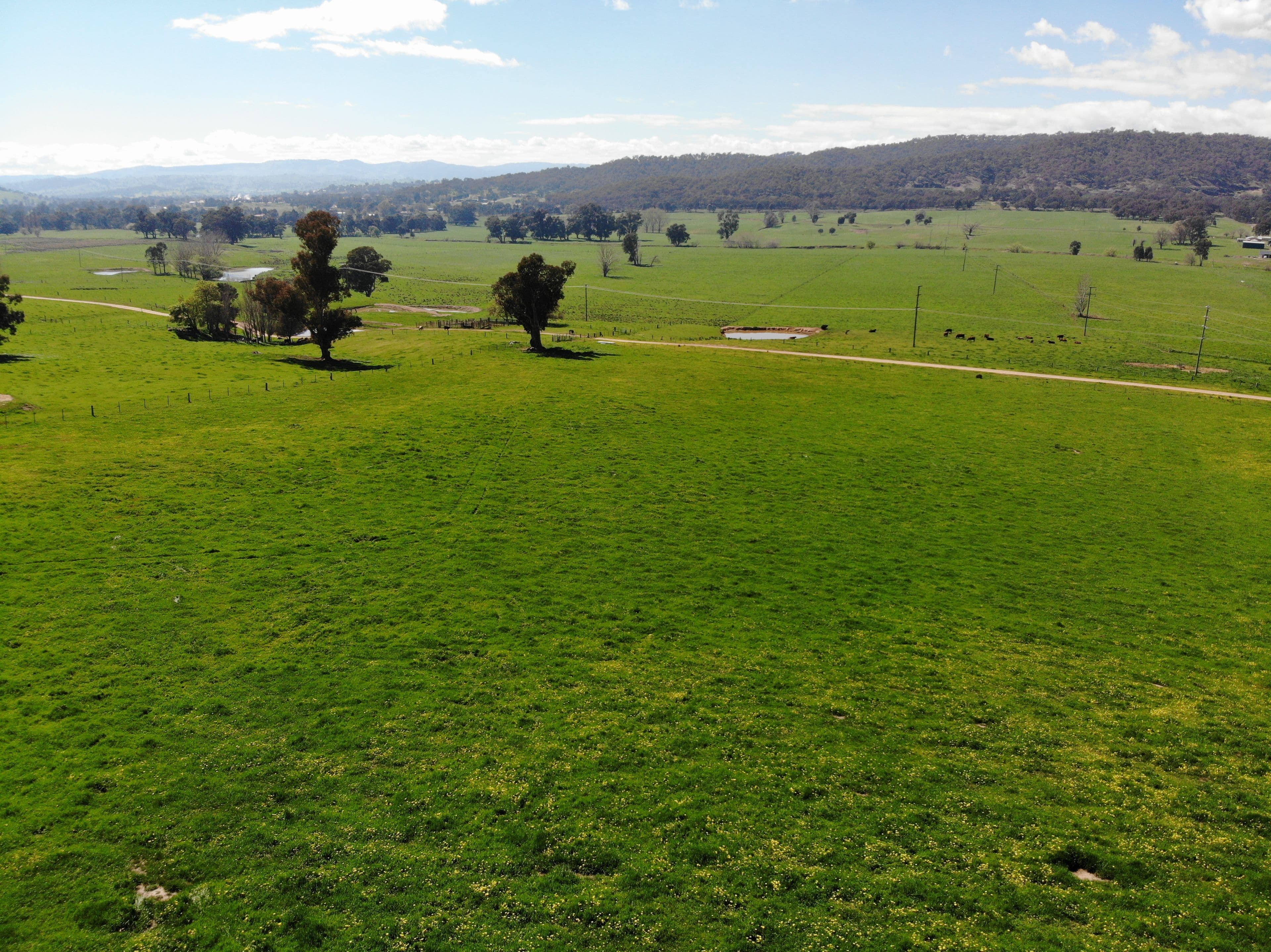 66 Whatmans Lane, Tumut NSW 2720, Tumut - Image 1