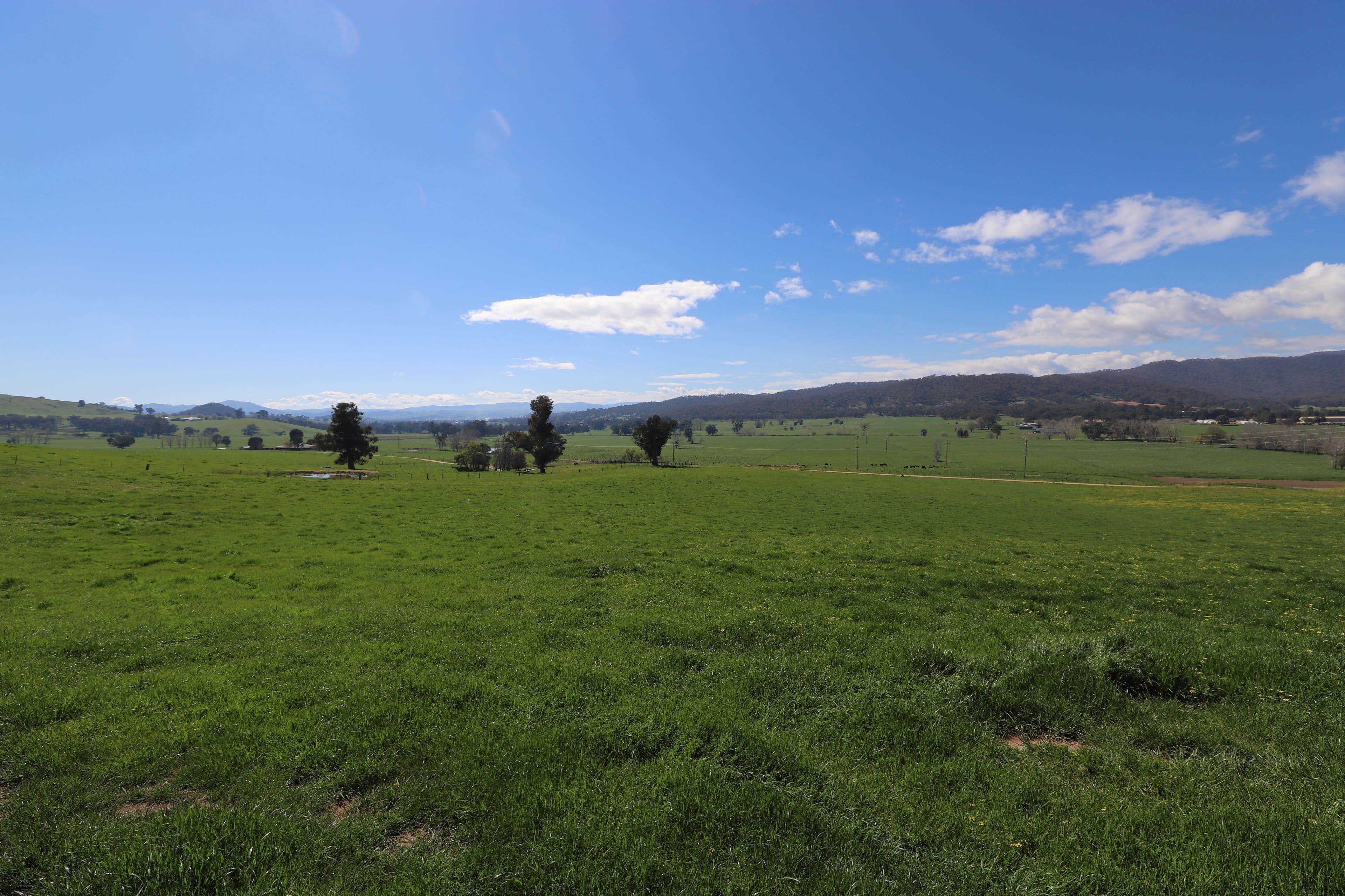 66 Whatmans Lane, Tumut NSW 2720, Tumut - Thumbnail 2