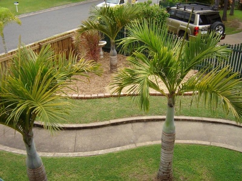 25 Locke Street, KAWANA QLD 4701, Kawana - Thumbnail 3
