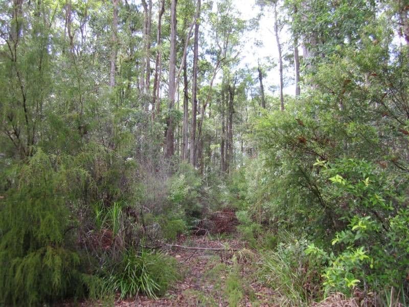 68 Hempsall Road, COOTHARABA QLD 4565, Cootharaba - Thumbnail 8