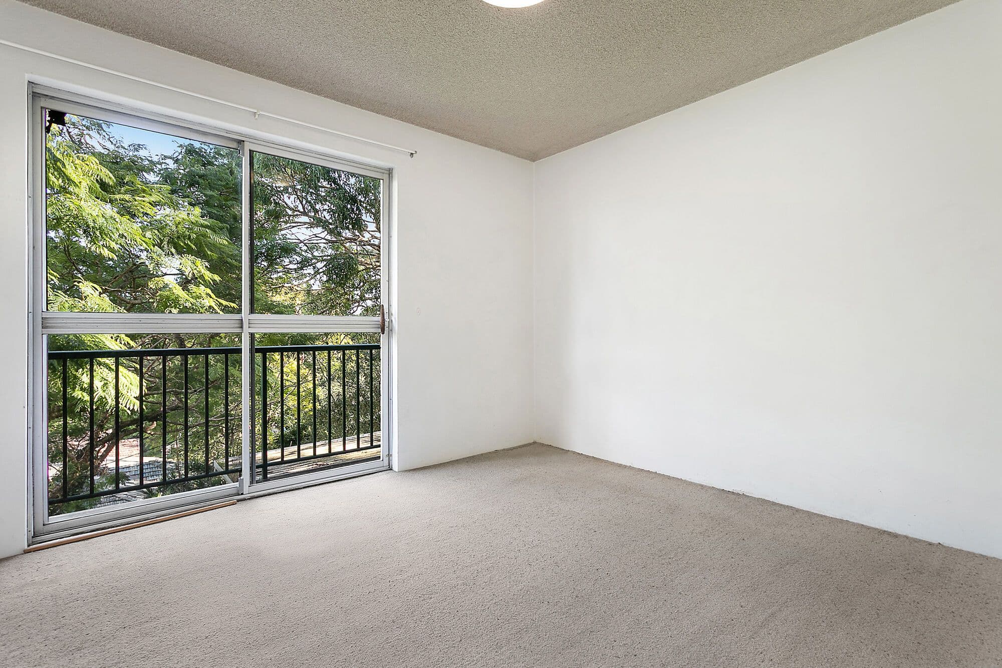 43 Martin Street, Freshwater NSW 2096, Freshwater - Thumbnail 4