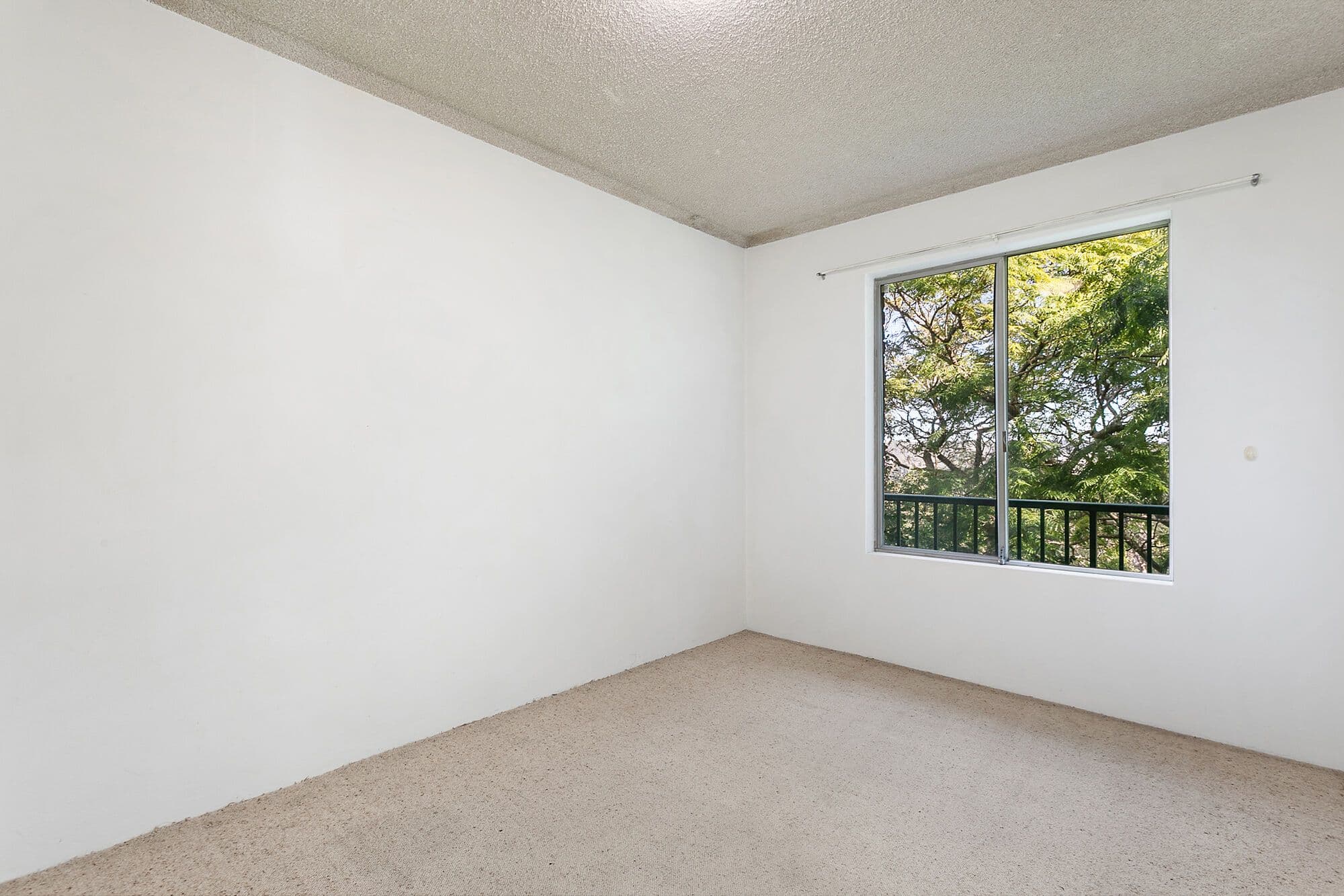 43 Martin Street, Freshwater NSW 2096, Freshwater - Thumbnail 5