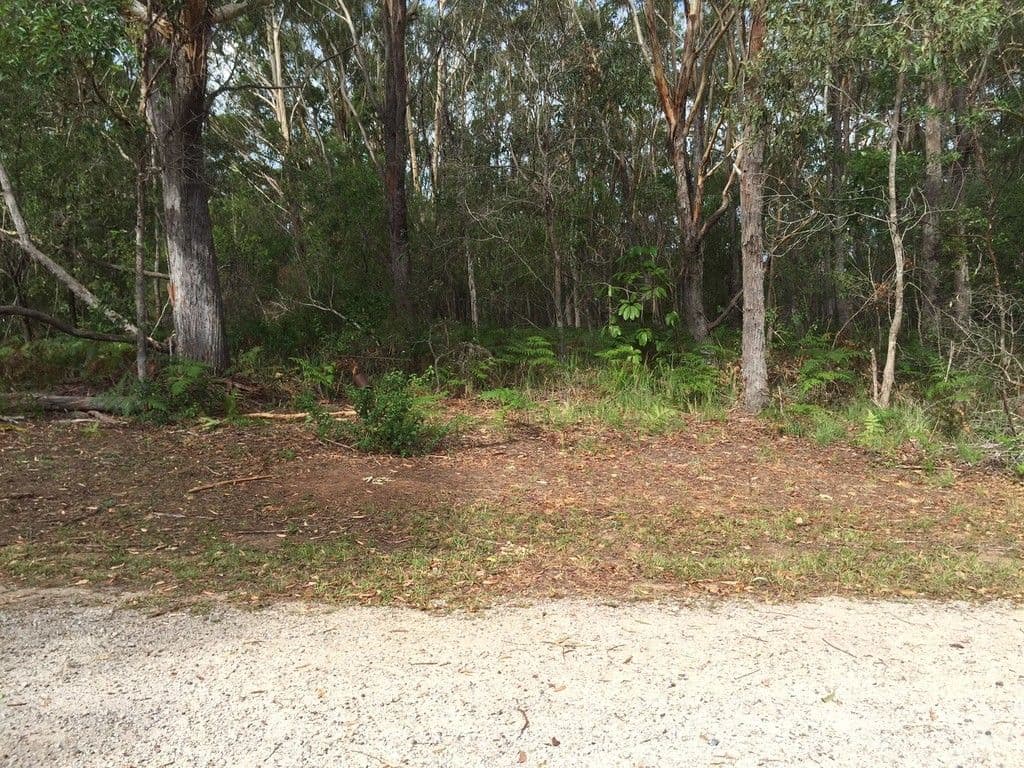 9 Rodds Road, Russell Island QLD 4184, Russell Island - Thumbnail 2