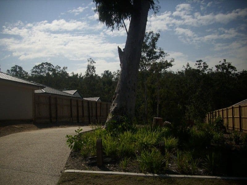 22 Grevillea Street, Redland Bay, QLD, 4165, Redland Bay - Thumbnail 4