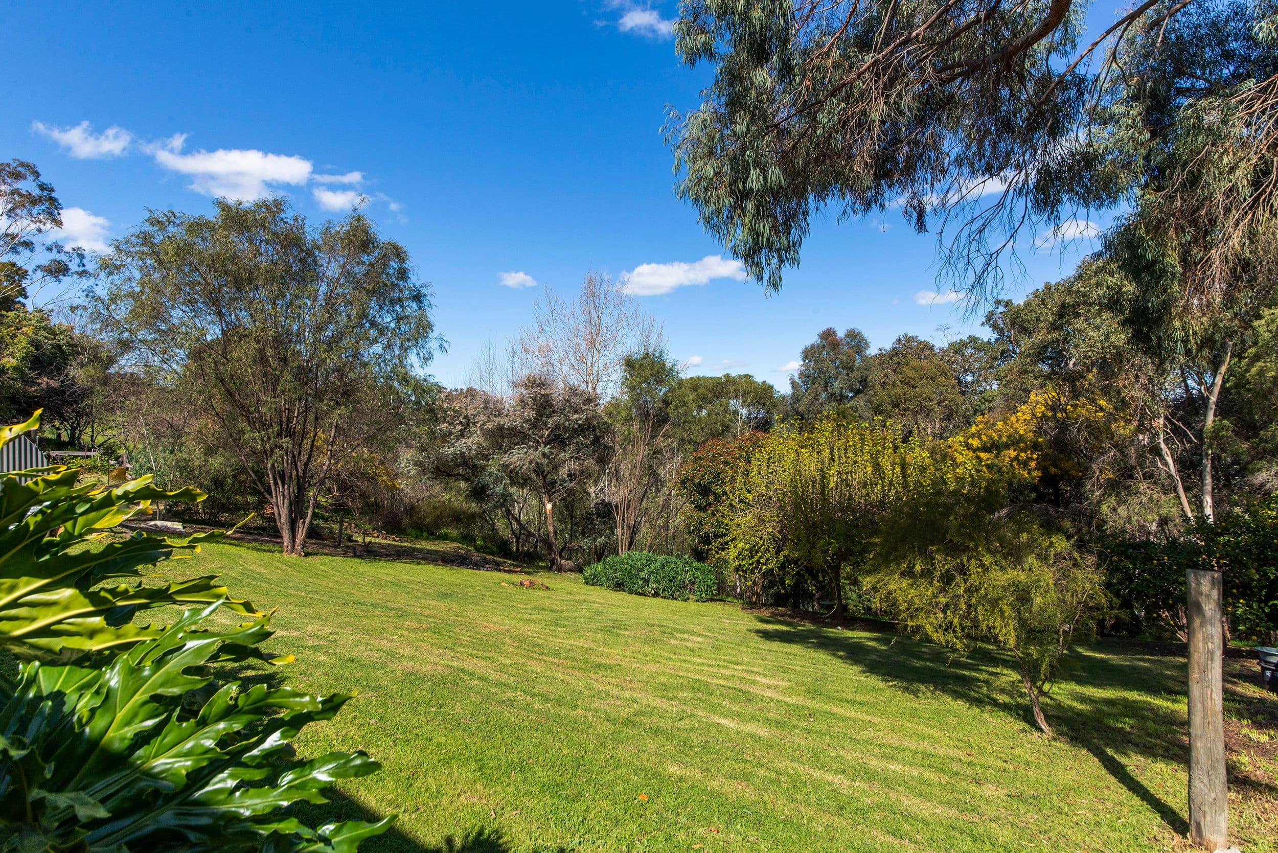 82 Blechynden Street, Bridgetown WA 6255, Bridgetown - Thumbnail 3