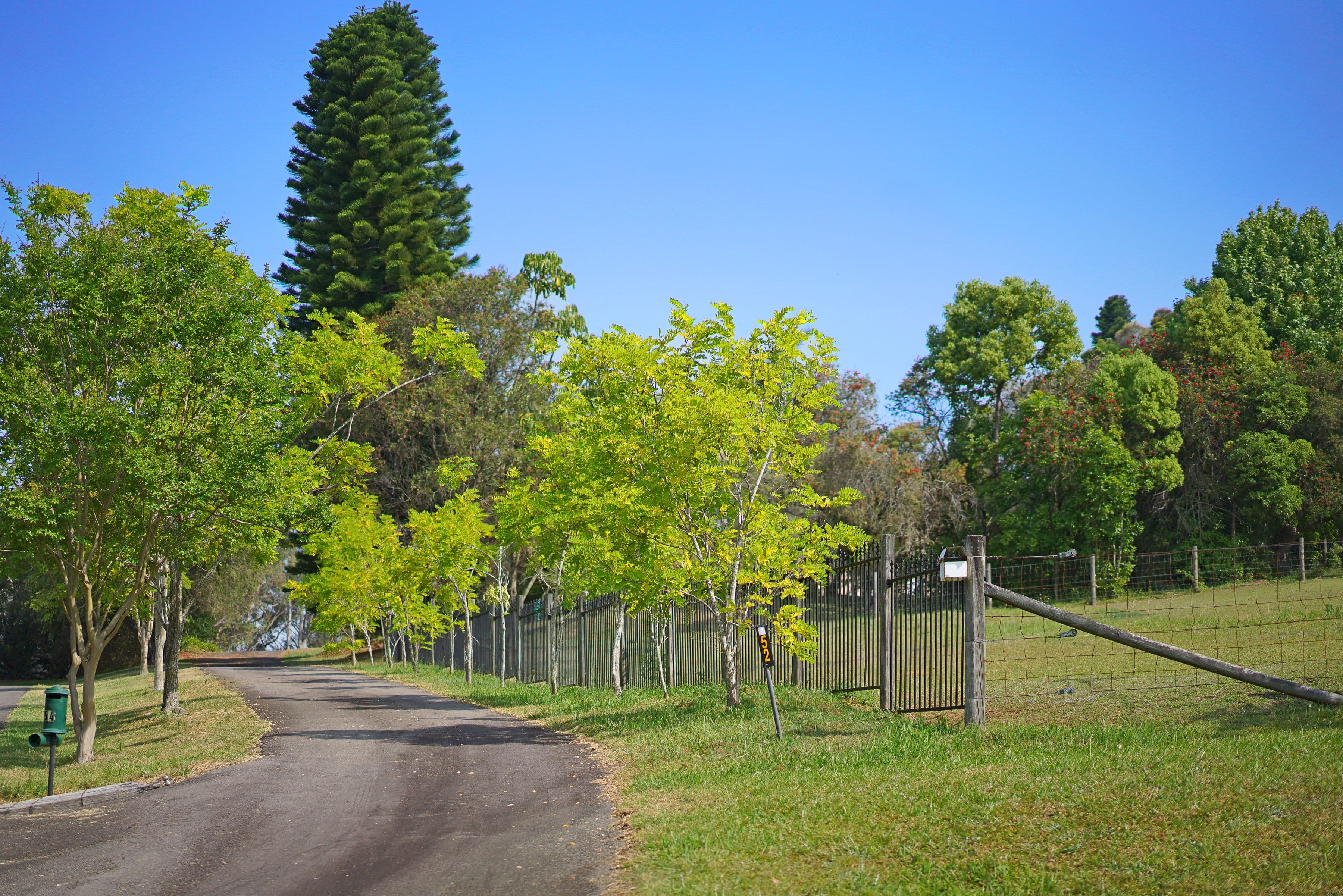 52 Border Street, Eraring - Thumbnail 2