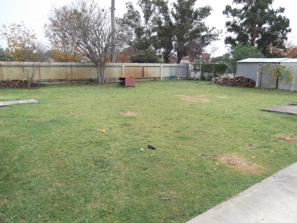 14 Rodney Street, BARRABA NSW 2347, Barraba - Thumbnail 8