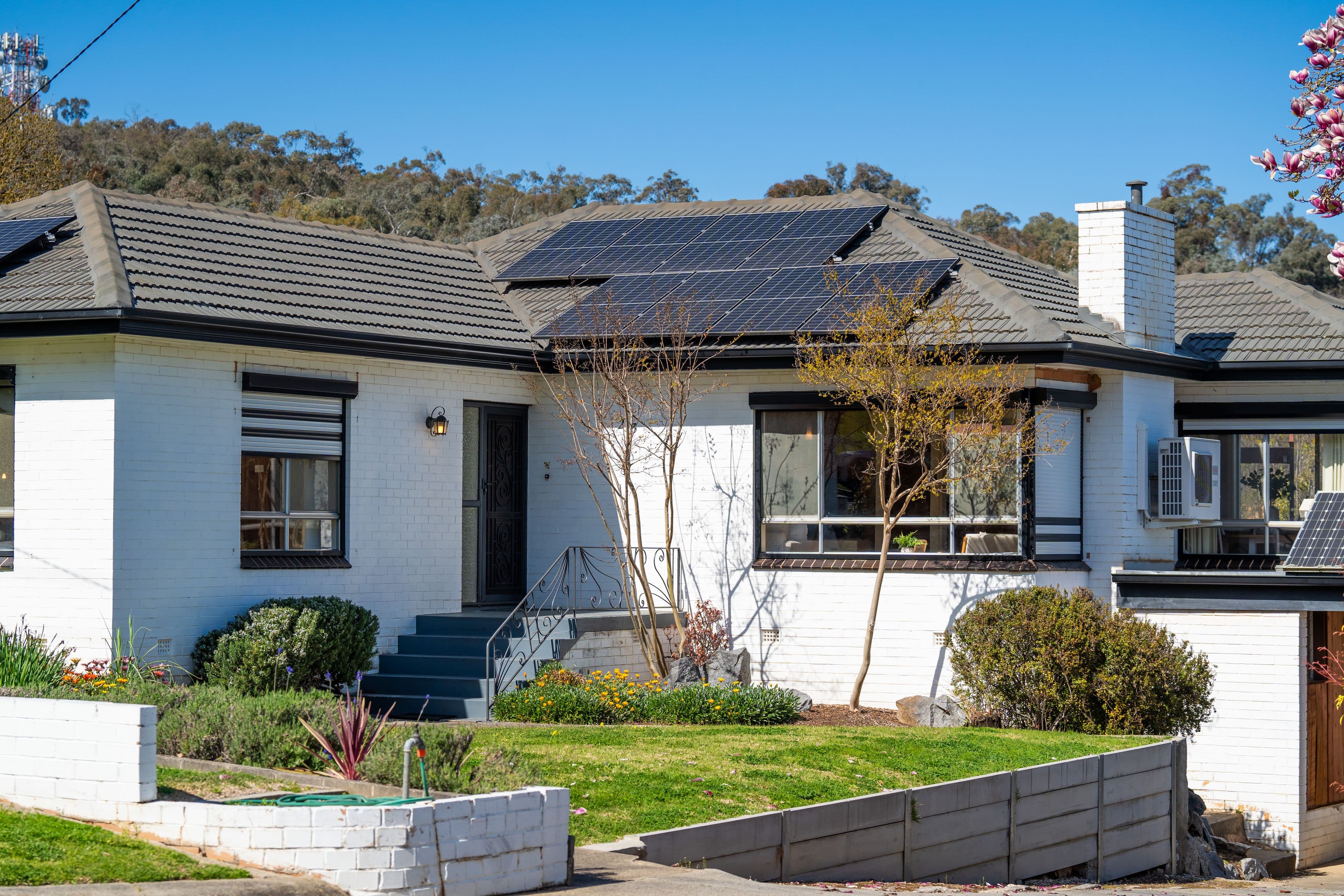 213 Bernhardt Street, East Albury NSW 2640, East Albury - Thumbnail 2