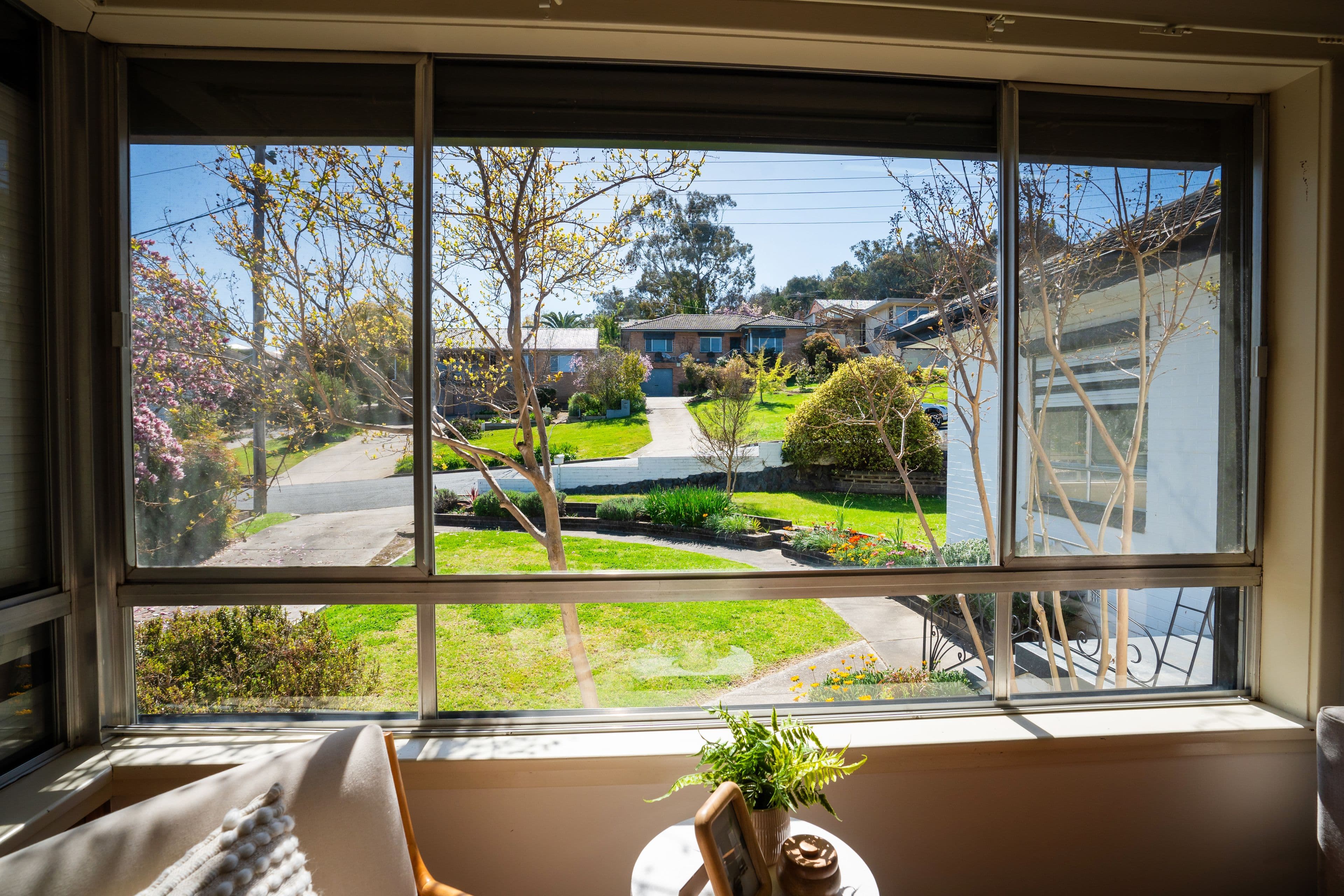 213 Bernhardt Street, East Albury NSW 2640, East Albury - Thumbnail 5