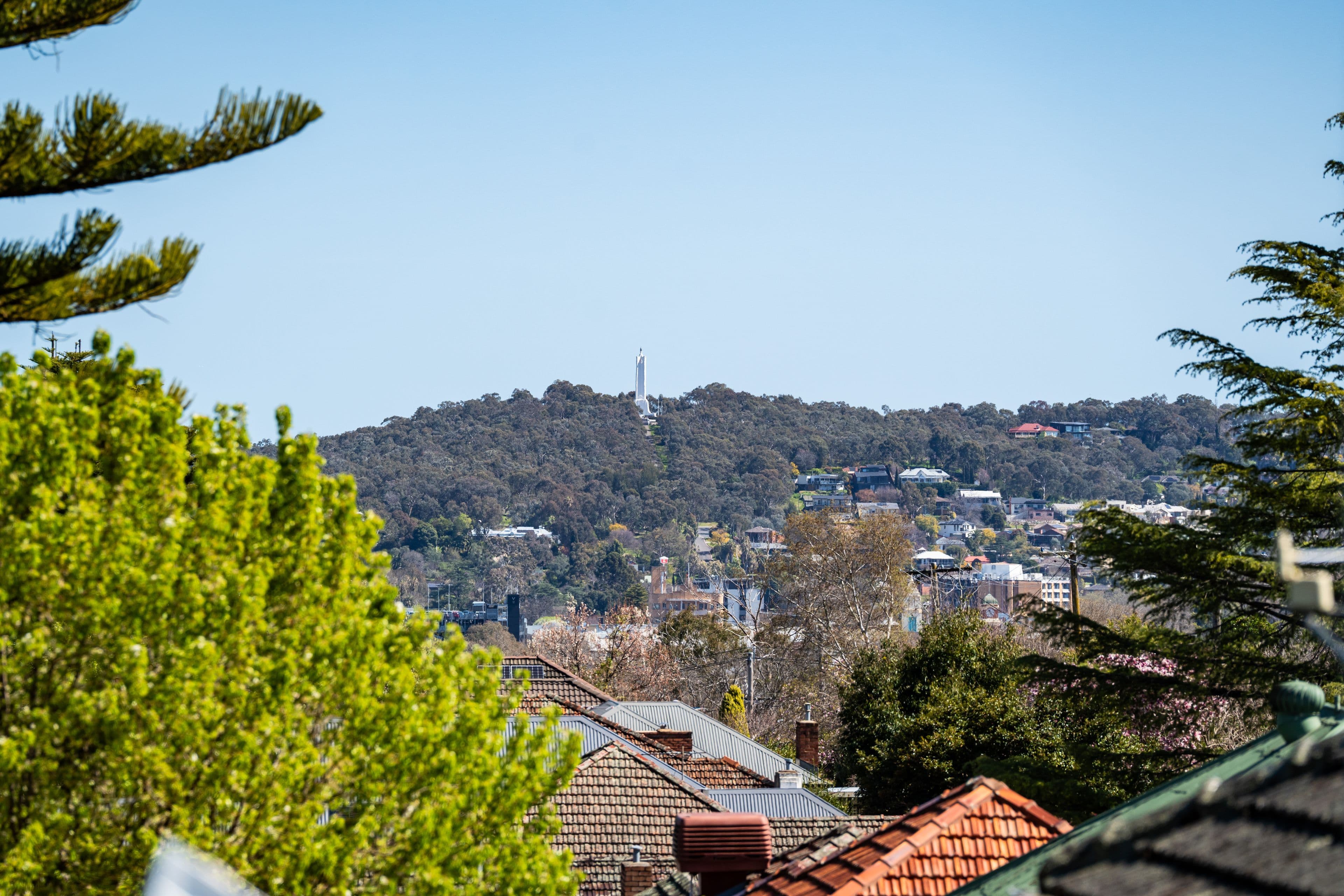 213 Bernhardt Street, East Albury NSW 2640, East Albury - Thumbnail 8